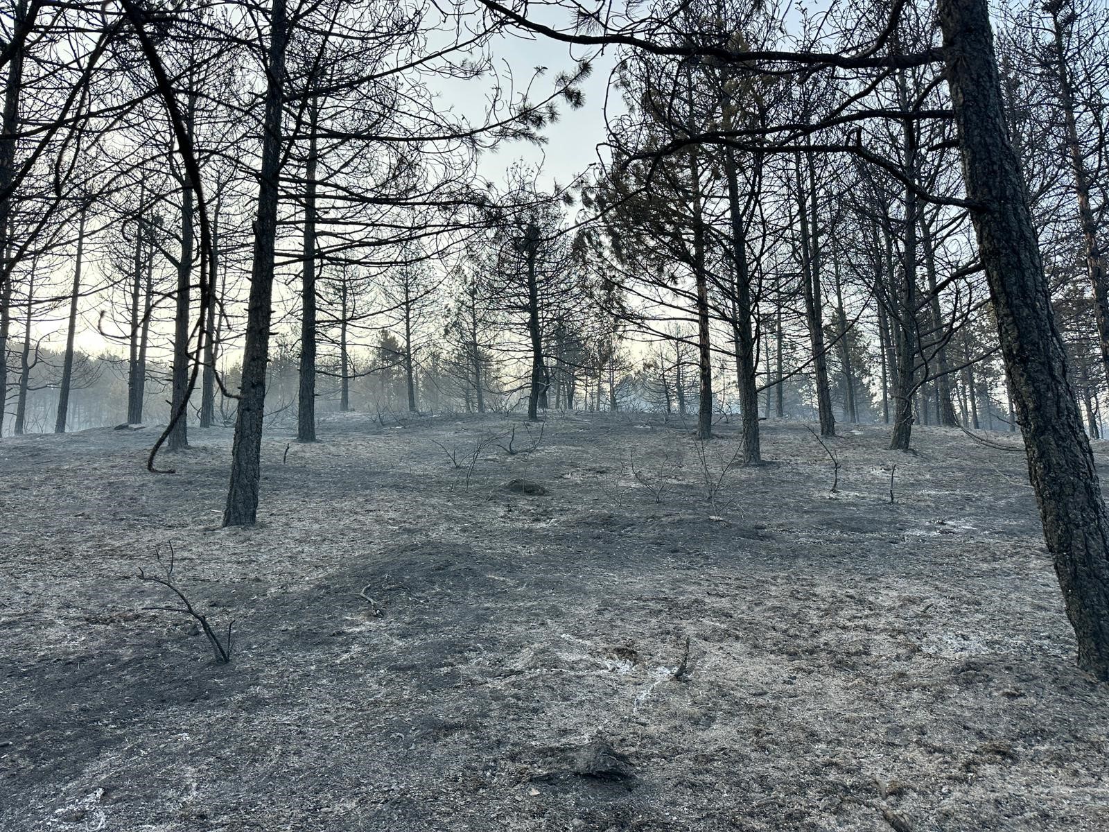 Denizli Haber Yangın 1