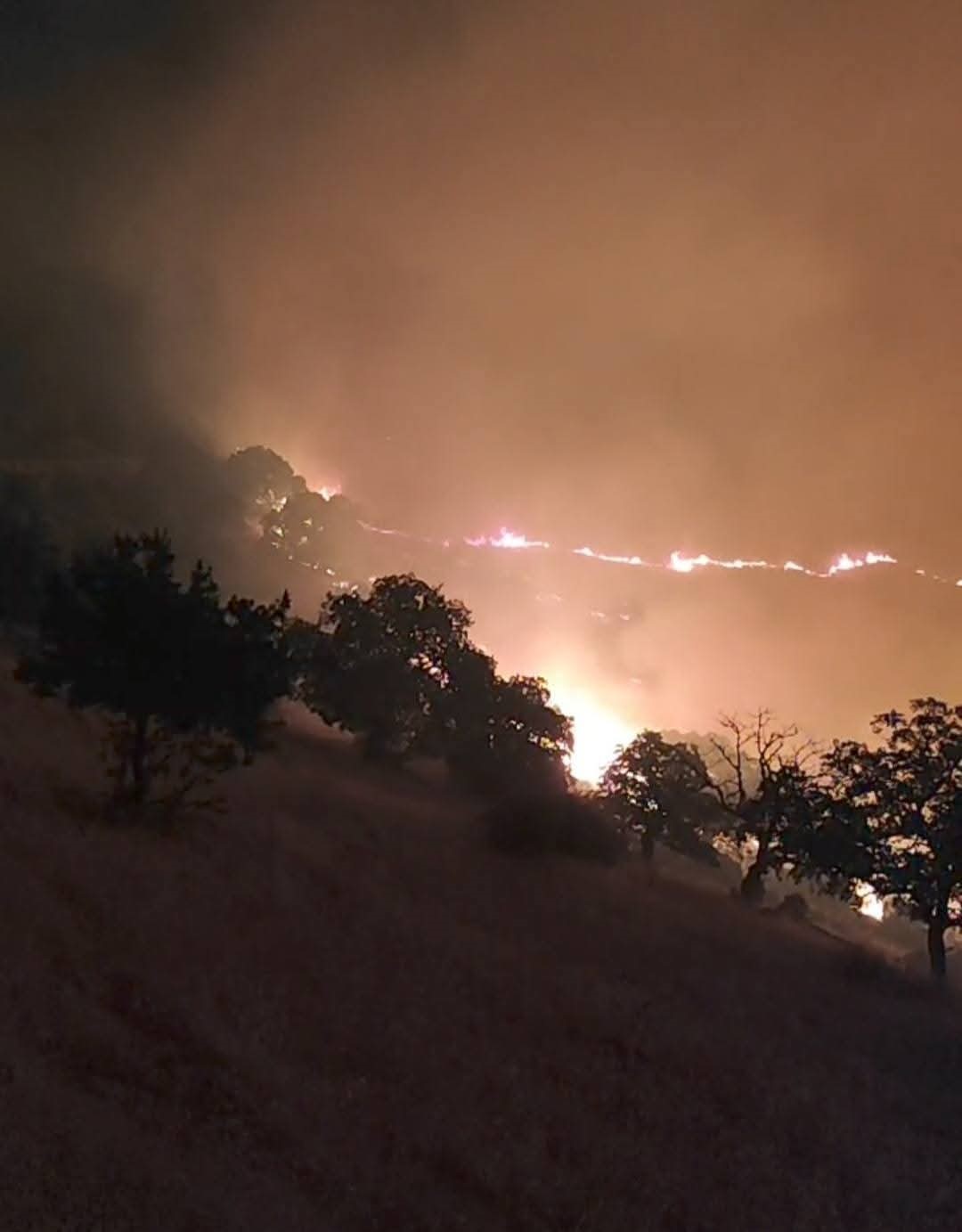 Denizli Haber Yangın-37