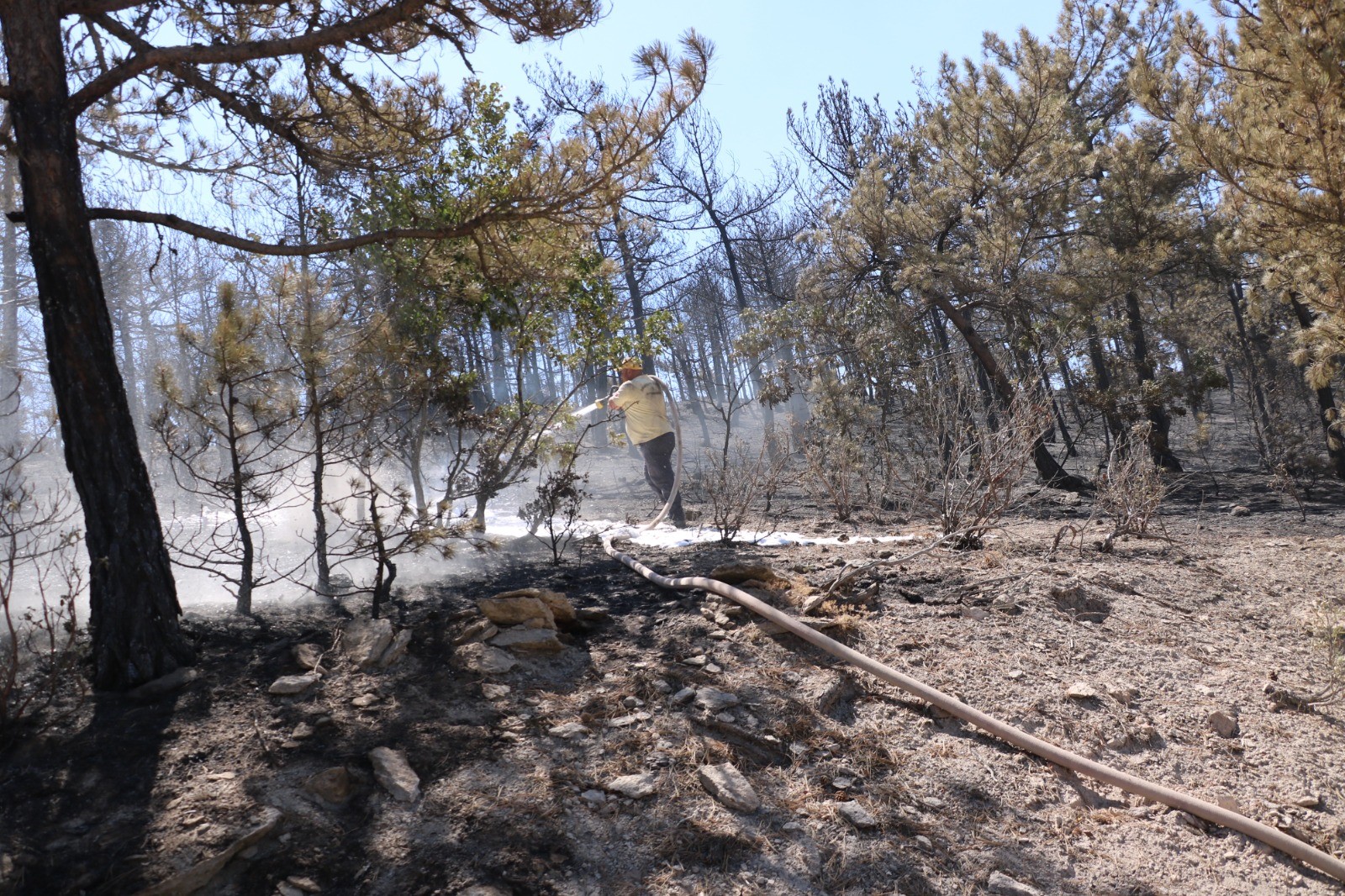 Denizli Haber Yangın4-4