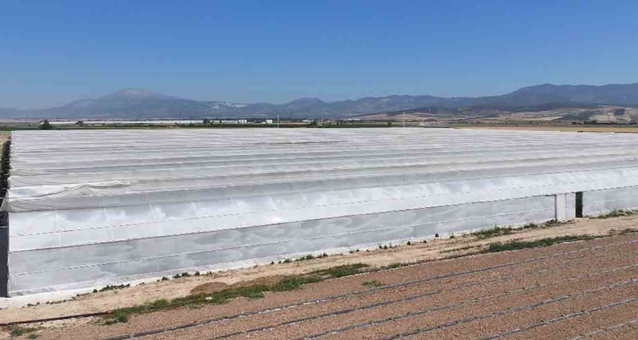 Denizli Haber Zehirlenen Işçi