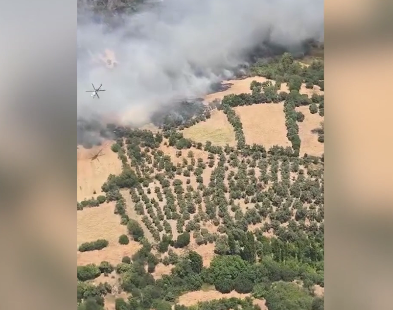 Denizli Haber Ziraat Yangını