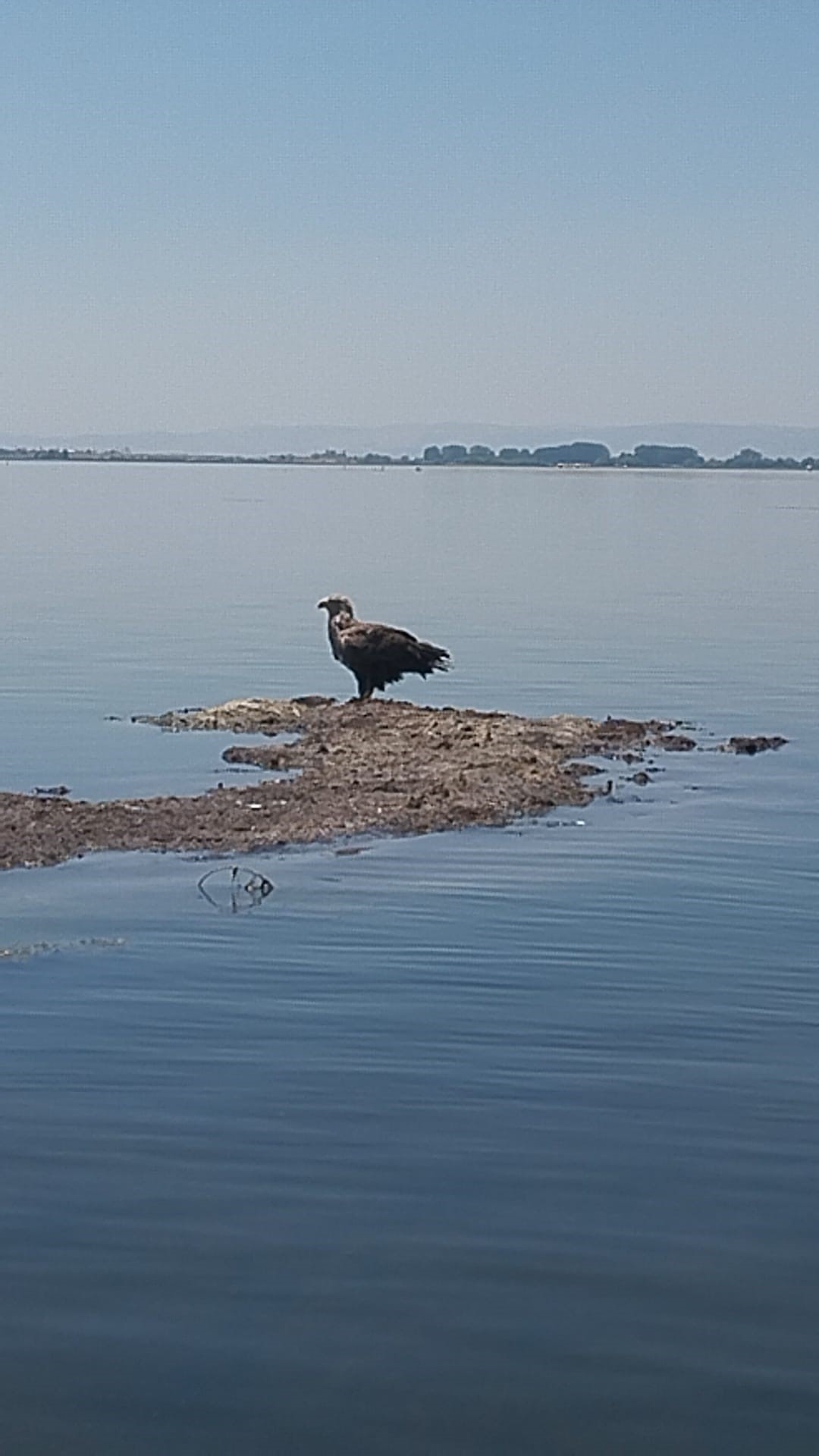 Denizli Haber Ziyaret4 (3)