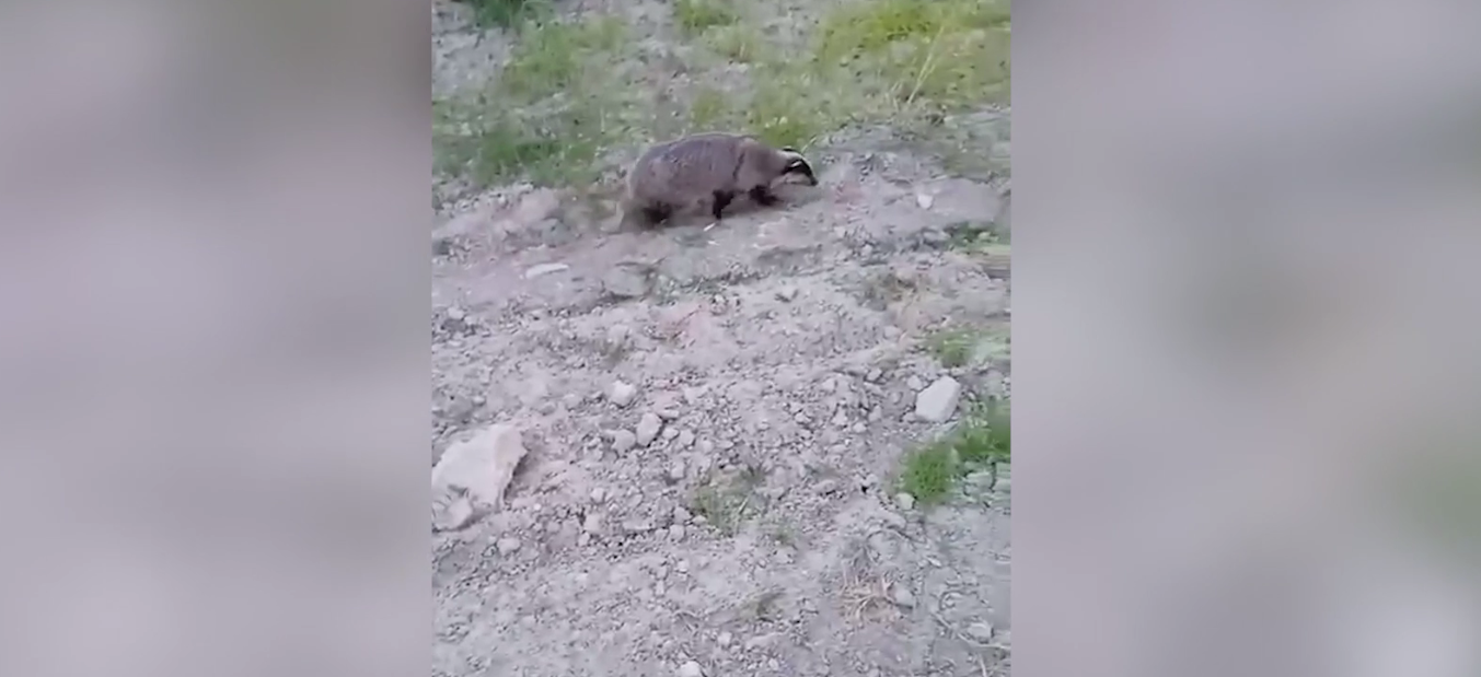 Denzili Haber Buldan Porsuk