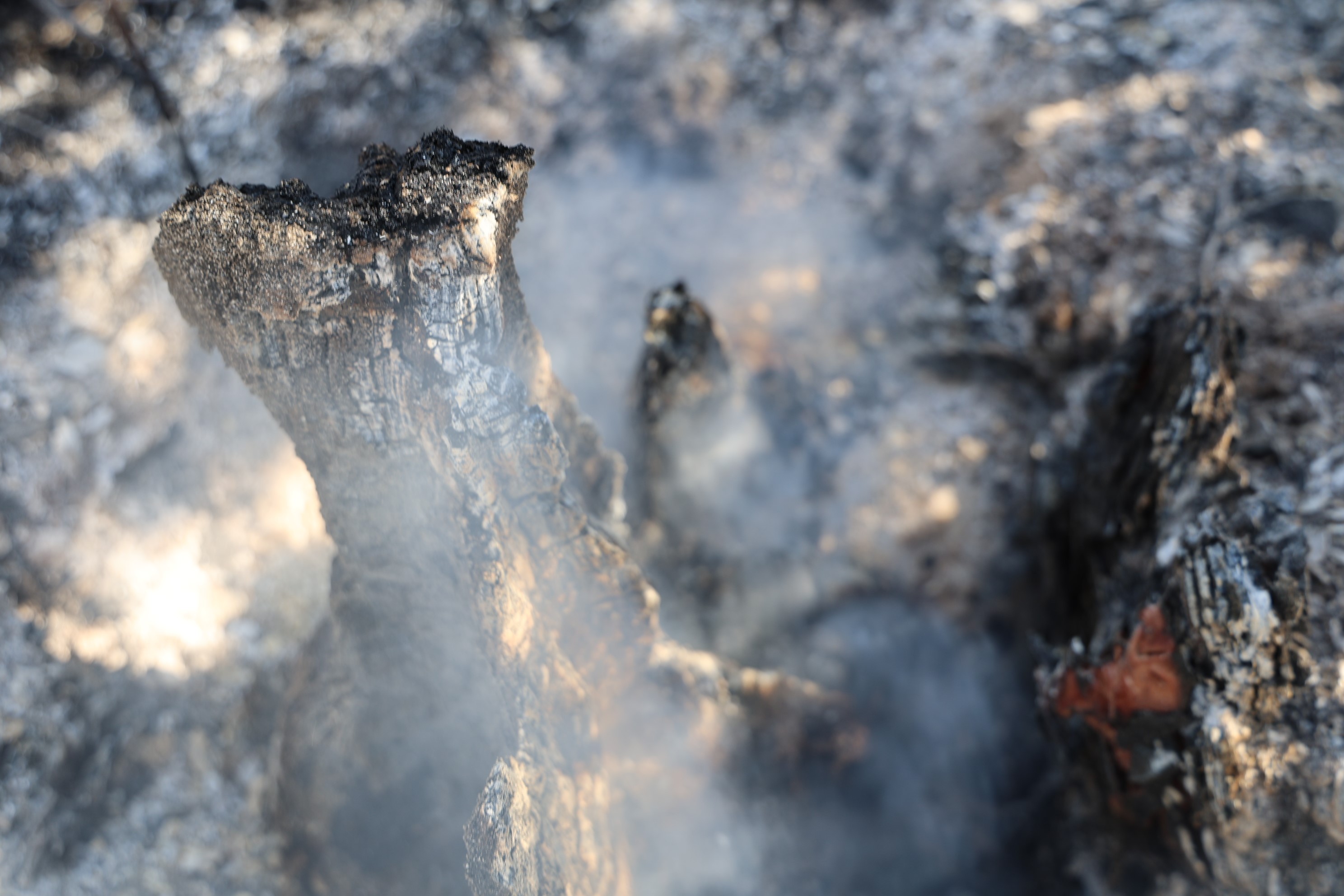 Denzili Haber Yangın 1