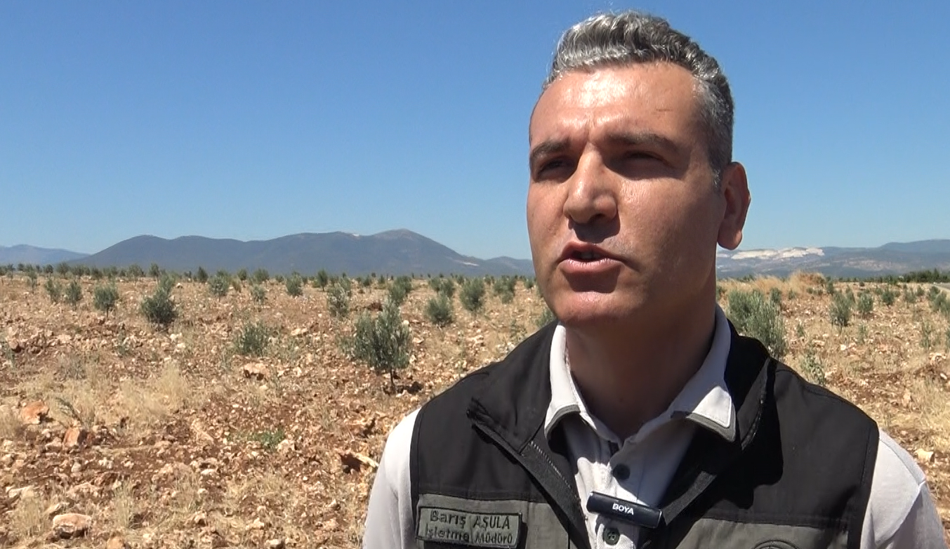 Ekran Görüntüsü 2025 07 16 151427