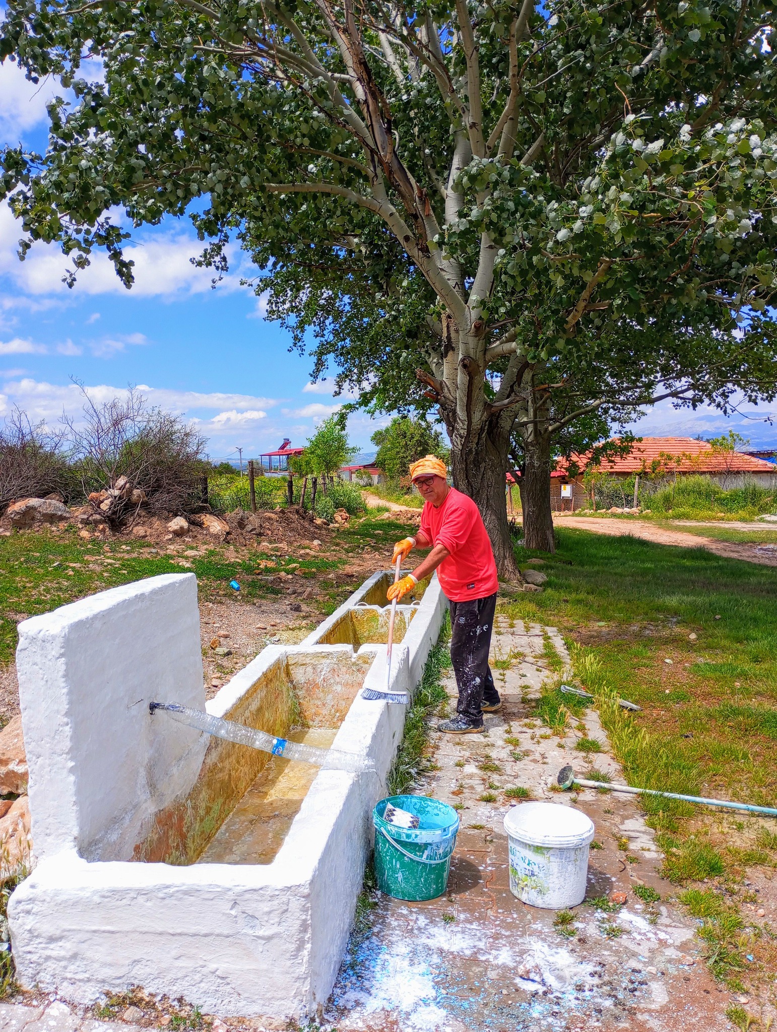 524332788 30559974316980120 2805749295498578851 N