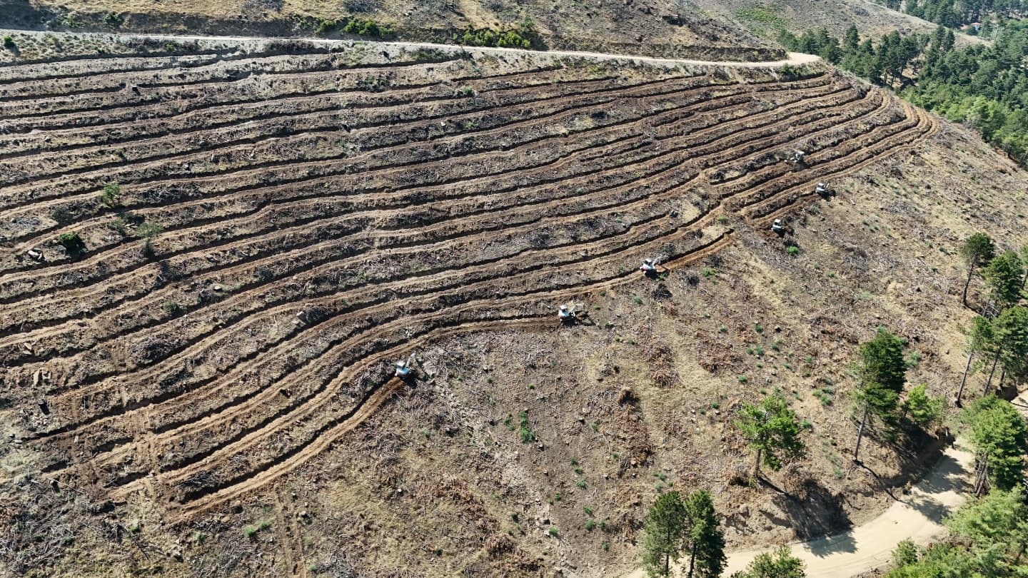 528741273 1579965800064660 4275405356194084832 N