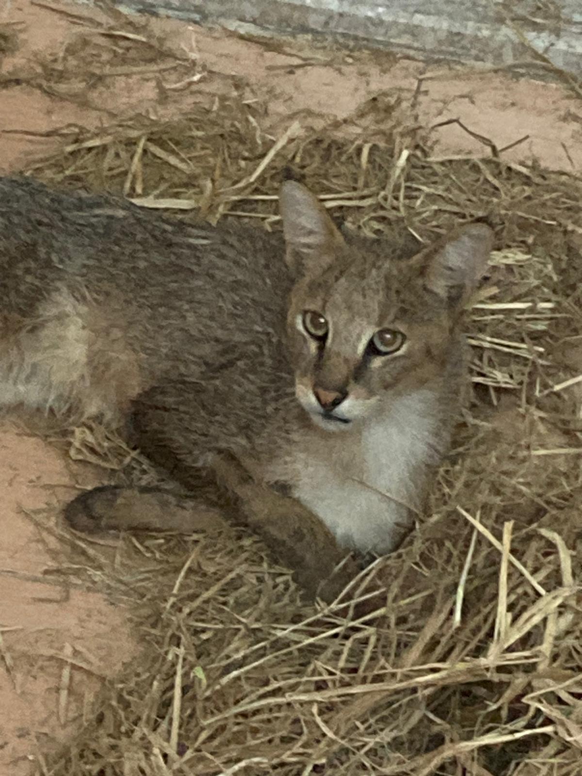 A A 20250827 38940655 38940650 A Y D I N D A B I T K I N H A L D E B U L U N A N S O Y U T E H L I K E A L T I N D A K I S A Z K E D I S I T E D A V I A L T I N A A L I N D I