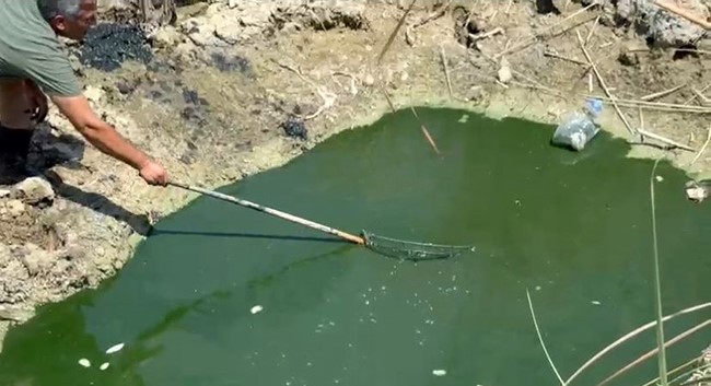 Antalda Kuruyan Sazlık (1)