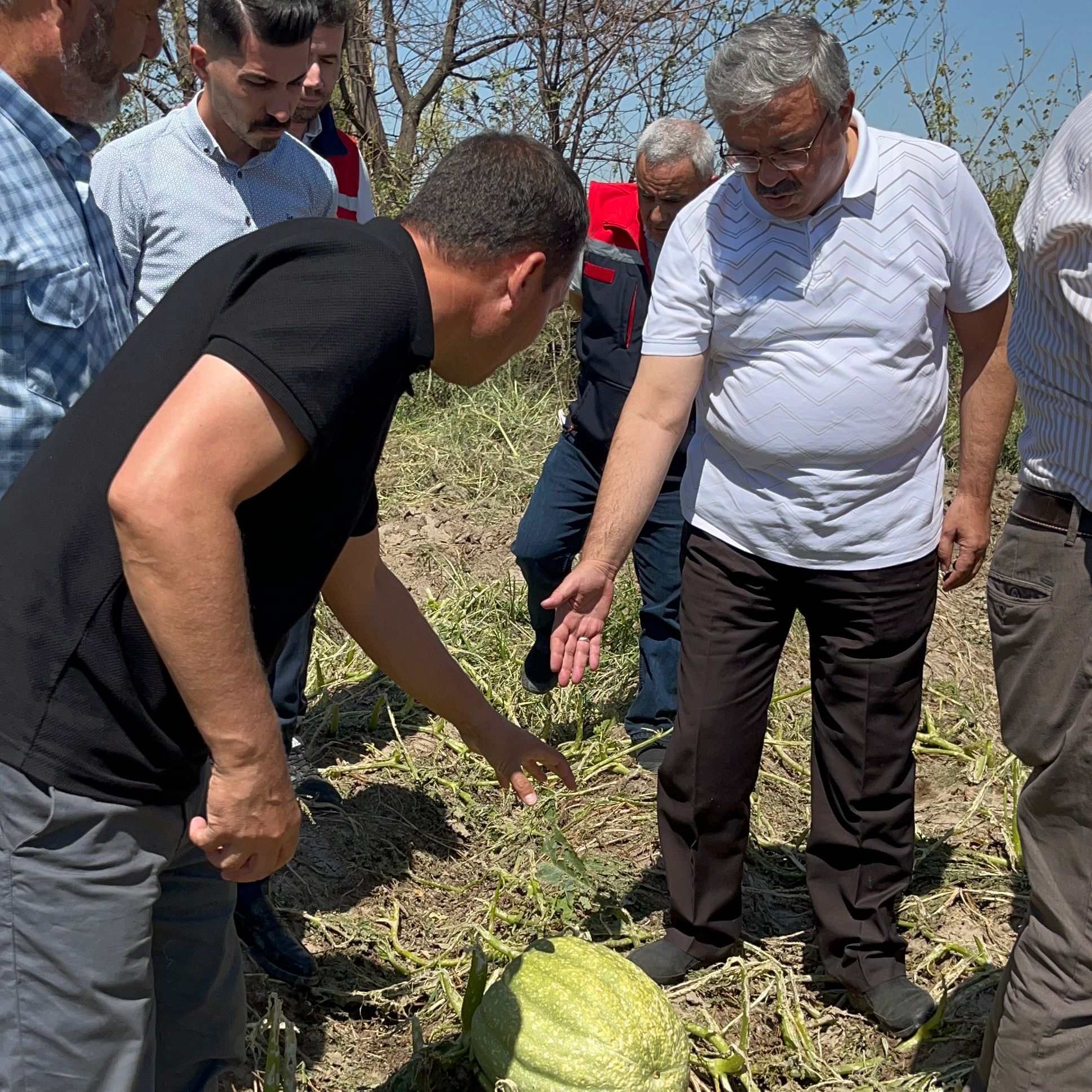 Denizli Haber Afyonkarahisarda Doludan Etkilenen Tarim Arazilerinde Inceleme Yapildi (1)