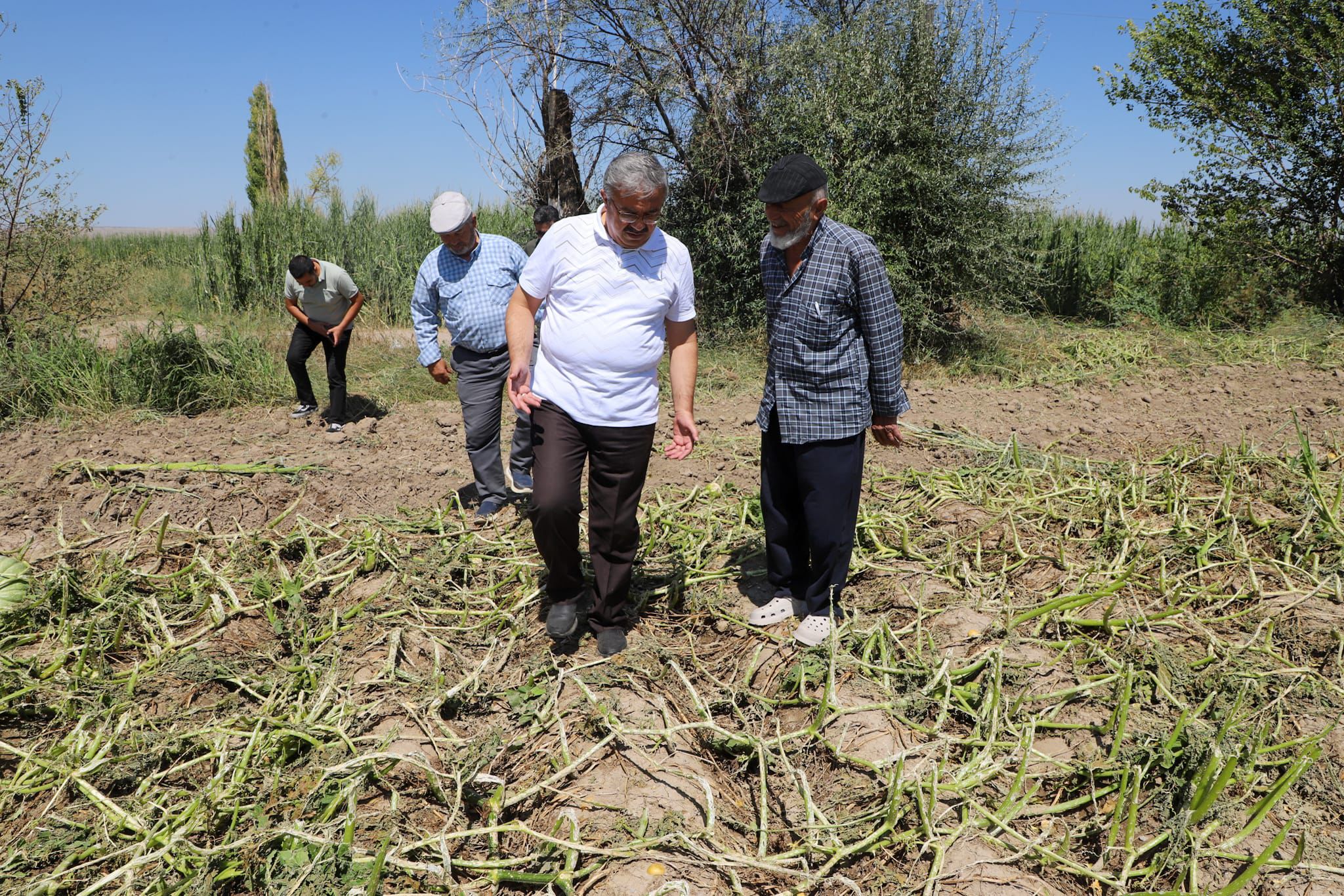 Denizli Haber Afyonkarahisarda Doludan Etkilenen Tarim Arazilerinde Inceleme Yapildi (2)