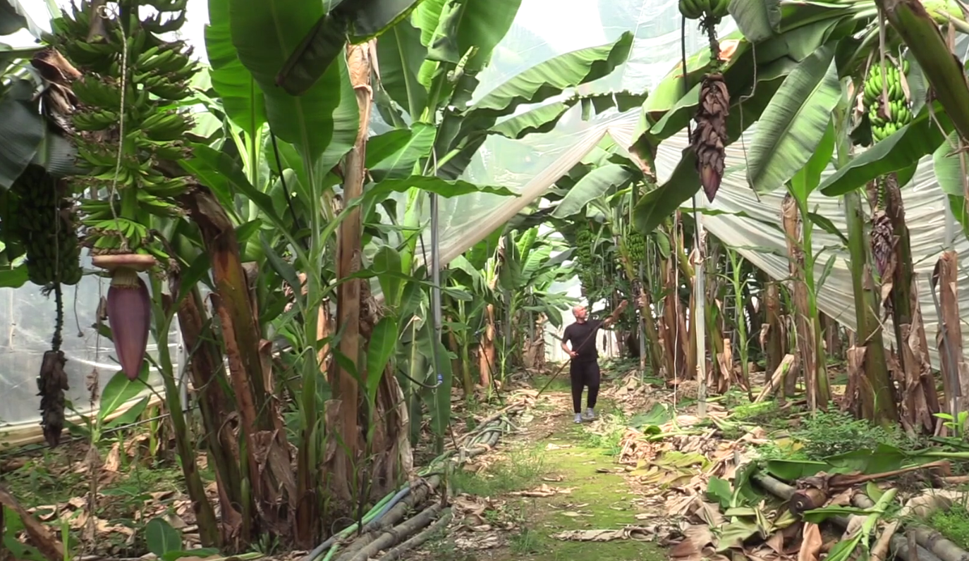 Denizli Haber Antalya-12