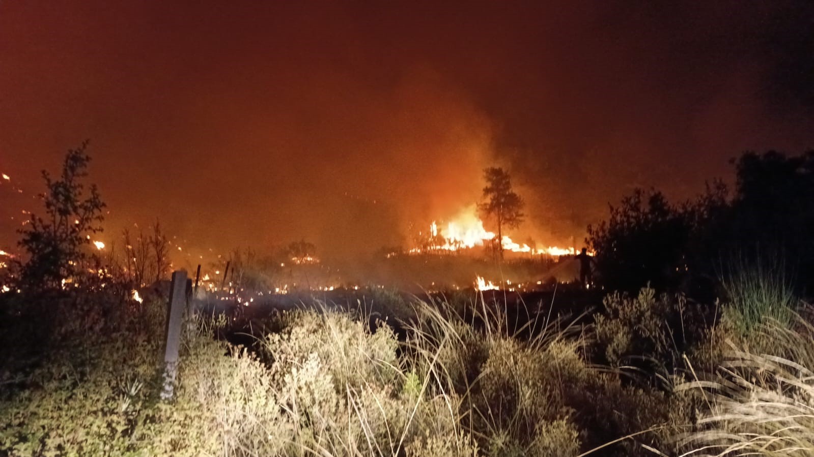 Denizli Haber Antalya Yangını (1)