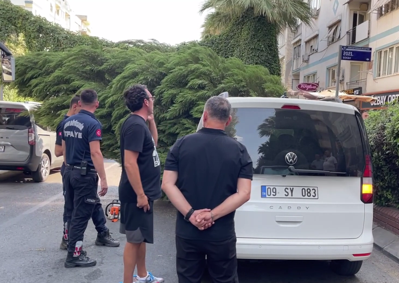 Denizli Haber Aydın Ağaç Devrilmesi