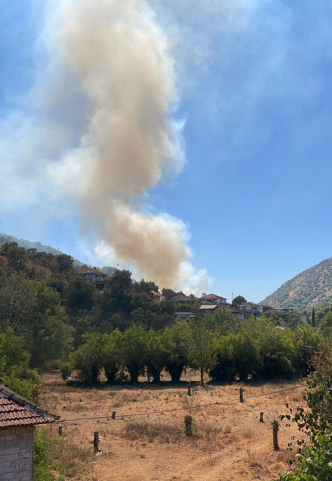 Denizli Haber Aydinda Zeytinlik Alanda Cikan Yangin Kontrol Altina Alindi (2)