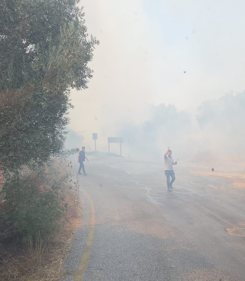 Denizli Haber Bodrumda Zeytinlik Ve Otluk Alanda Cikan Yangin Sonduruldu (1)