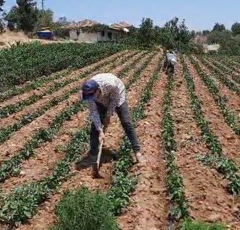 Denizli Haber Buldanlı Kardeşler (3)