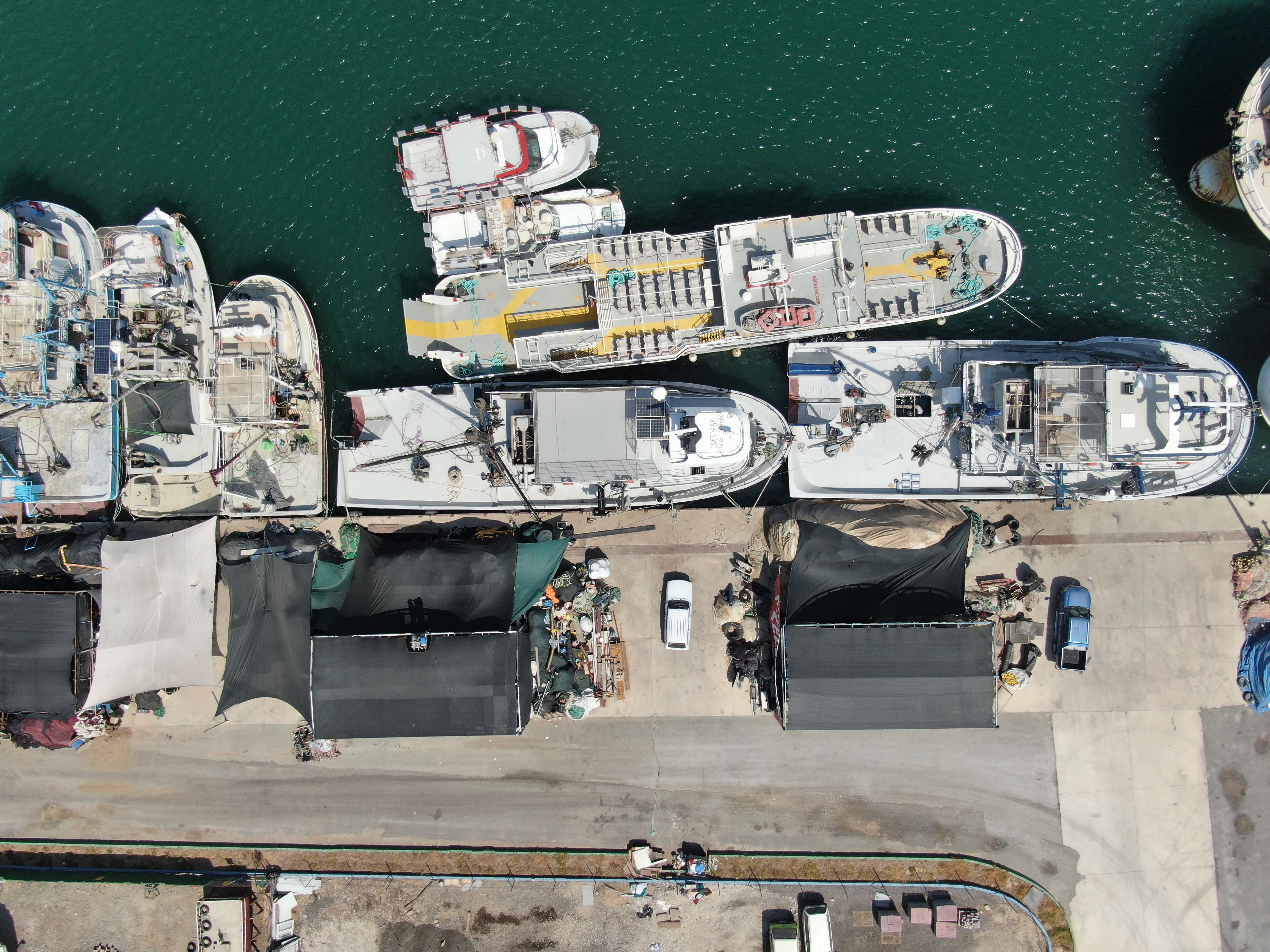 Denizli Haber Denizkirliliği (1)