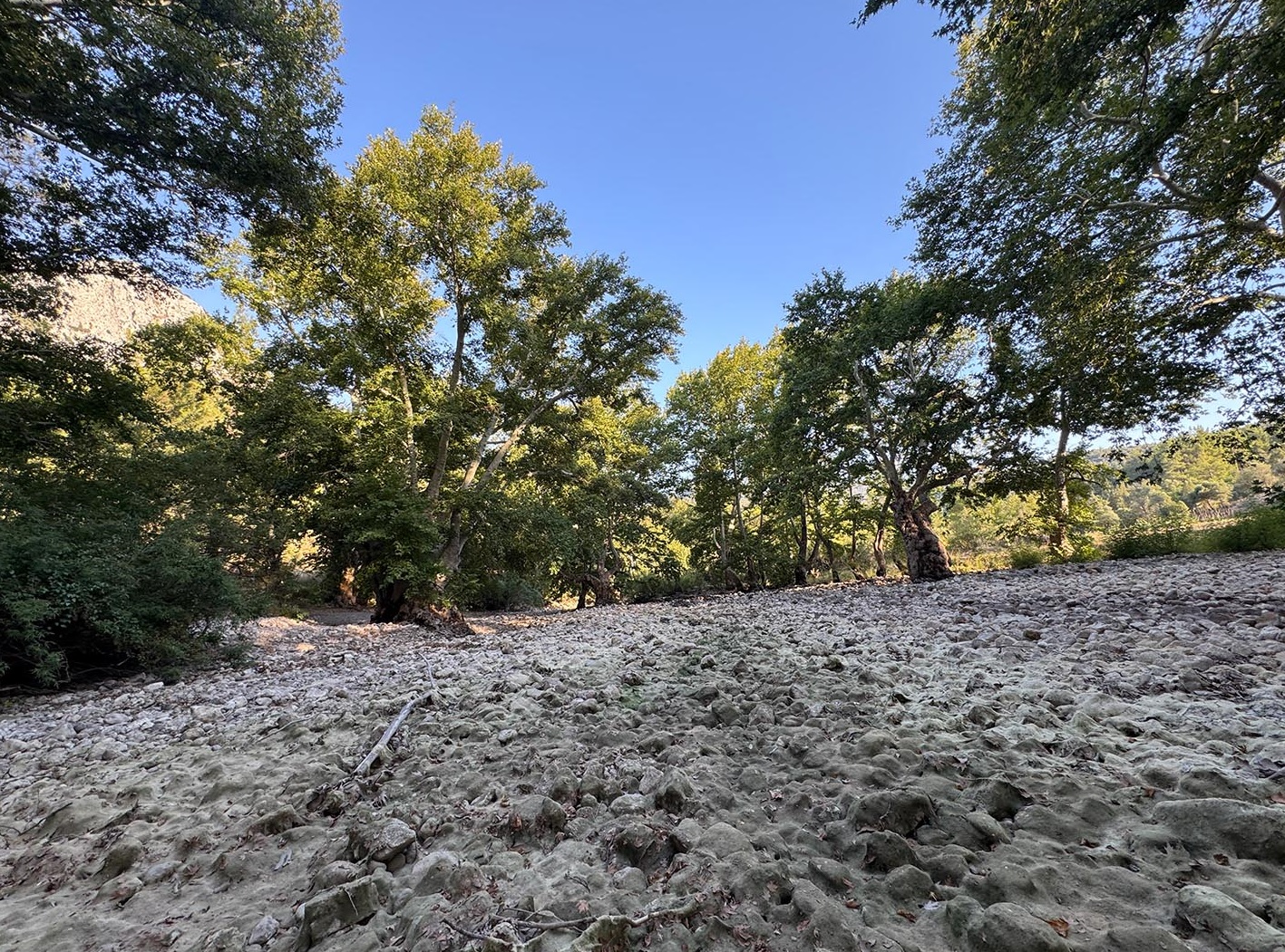 Denizli Haber Derekuraklık6 (1)