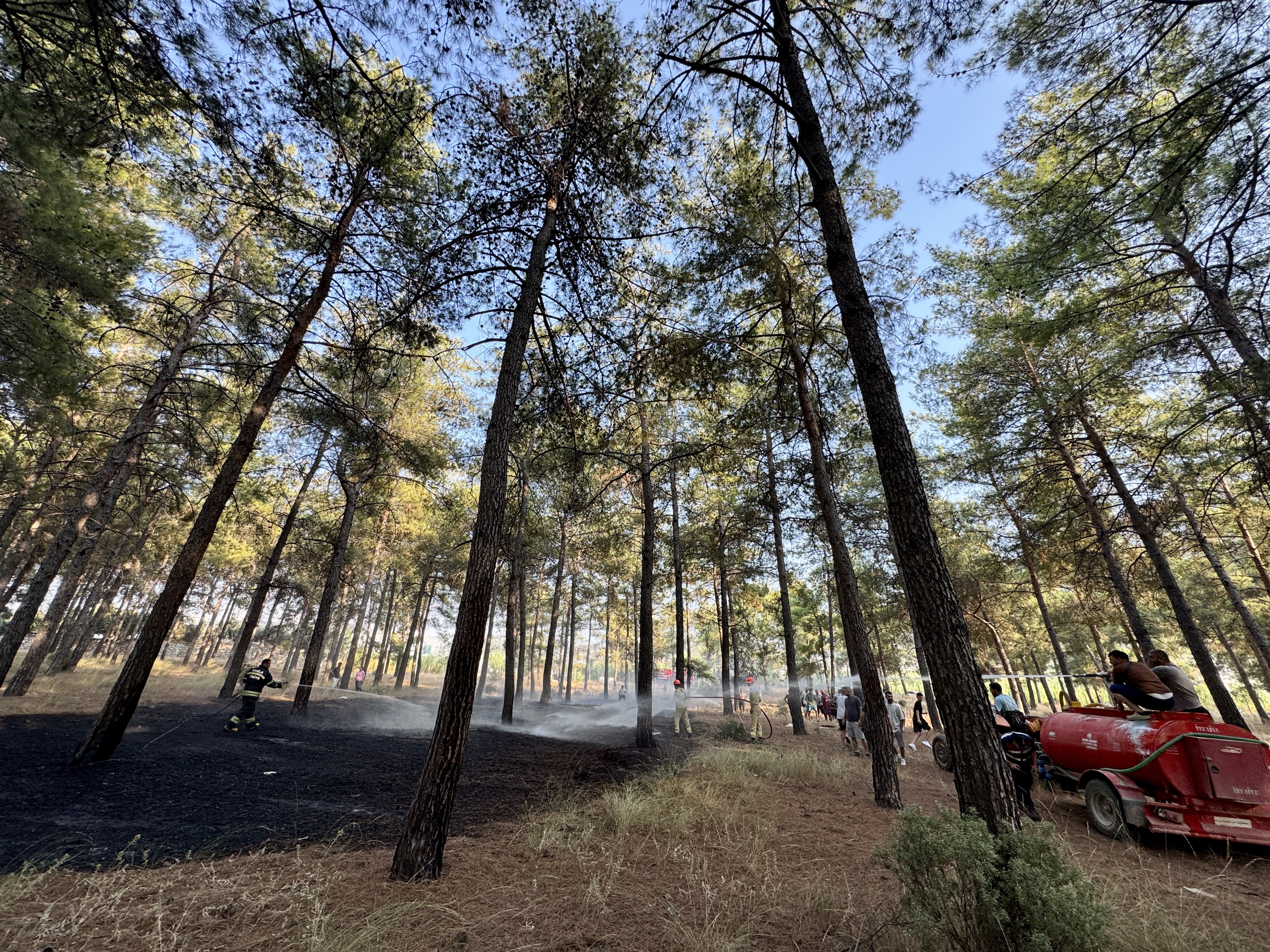 Denizli Haber Fethiyede Ormanlik Alanda Cikan Yangin Sonduruldu (2)