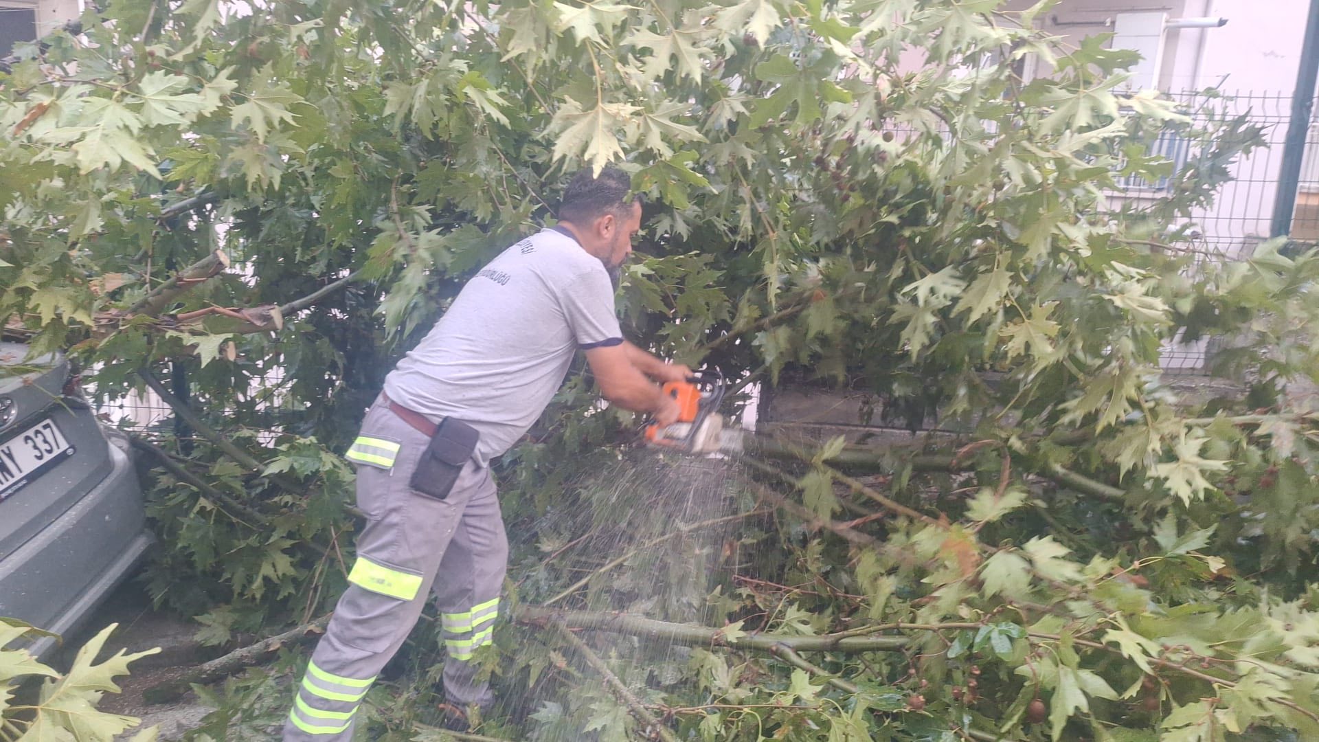Denizli Haber Fırtına Pamukkale (1)