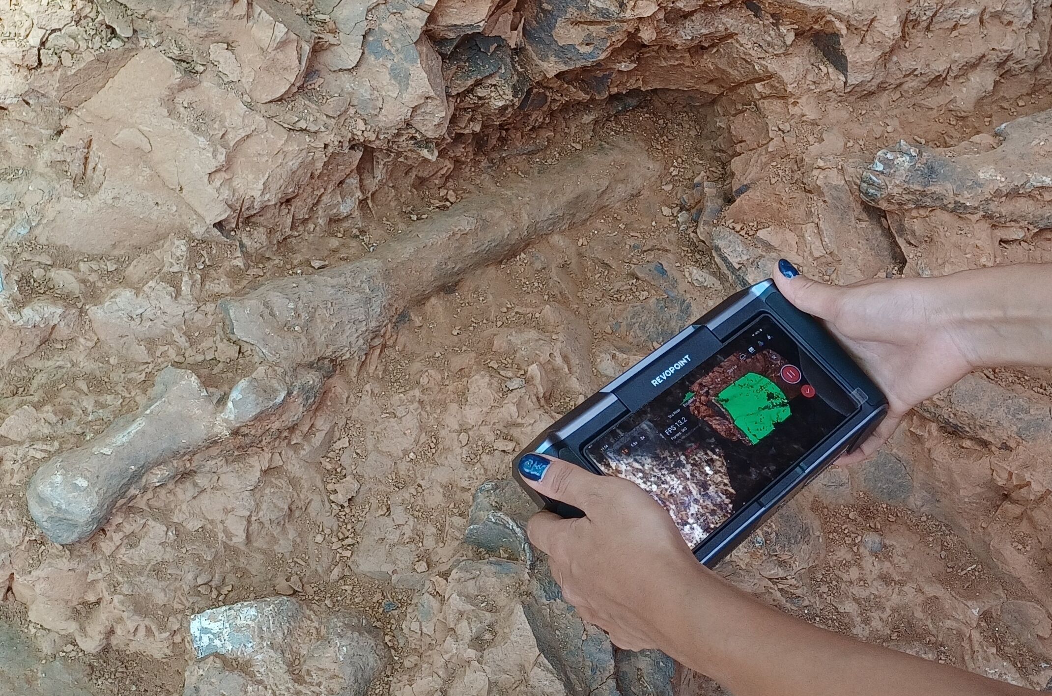 Denizli Haber Fosil3 (1)