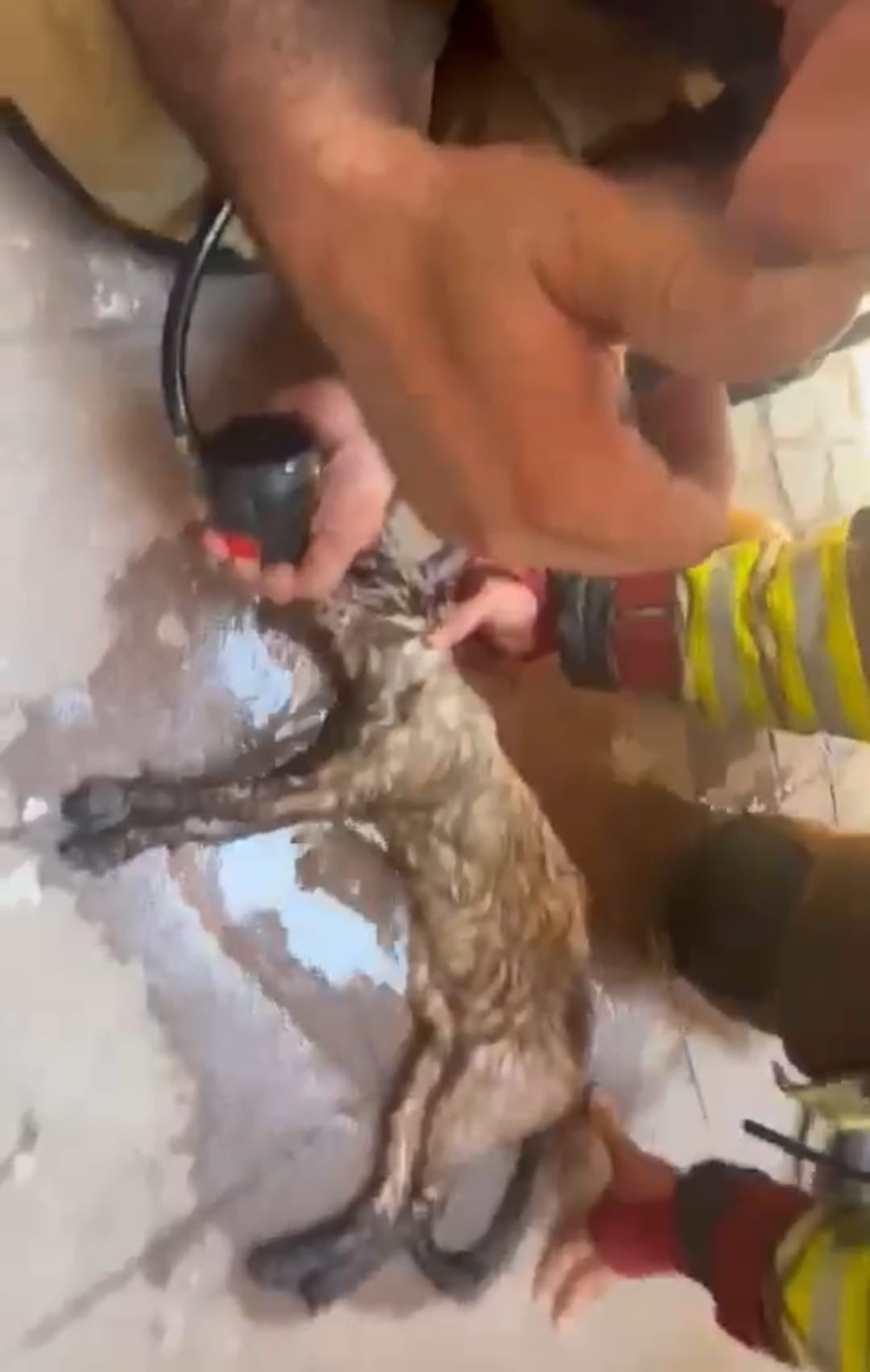 Denizli Haber Itfaiye (1)-1