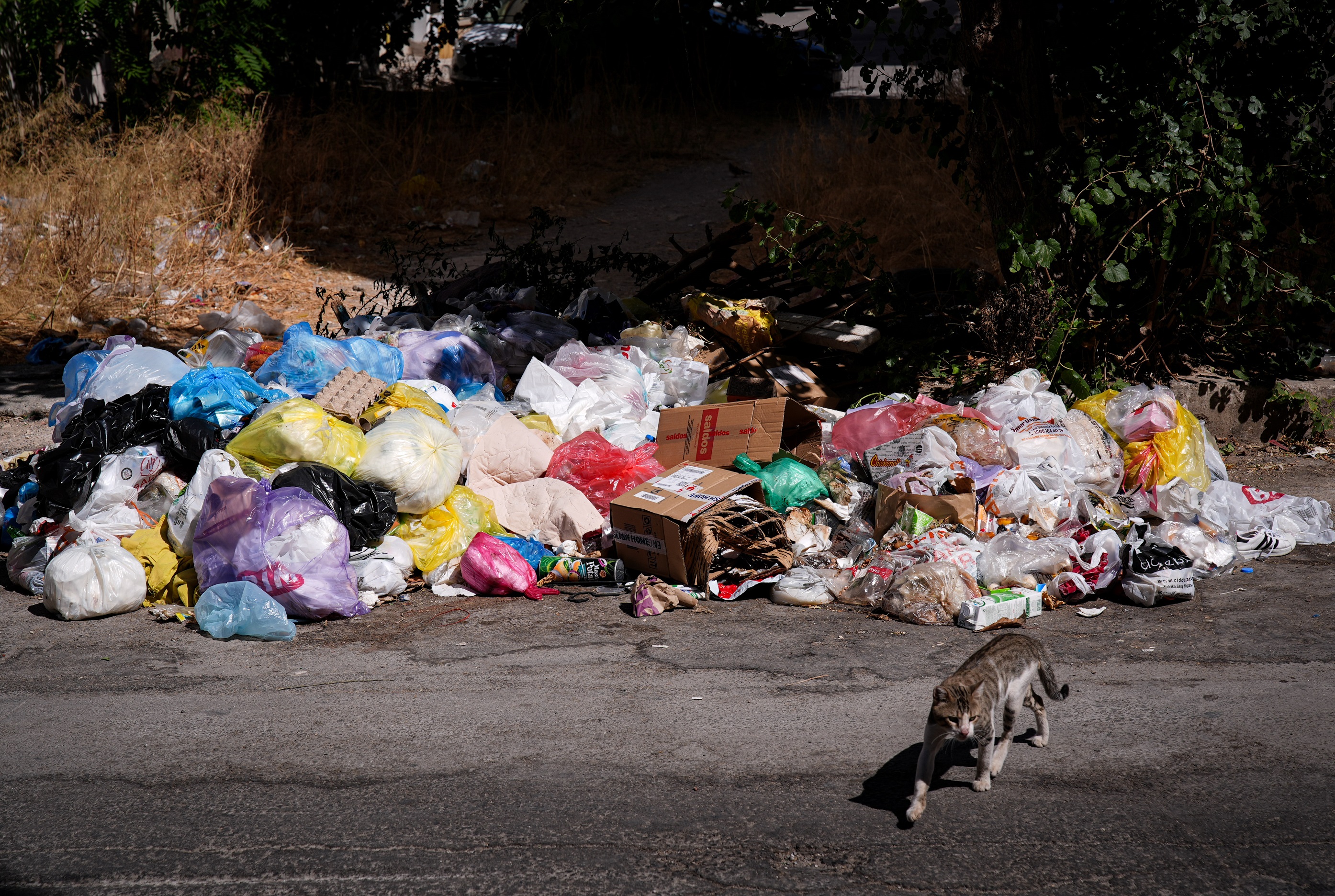 Denizli Haber Izmir Buca Sakinleri Cop Sorununun Cozulmesini Bekliyor (2)