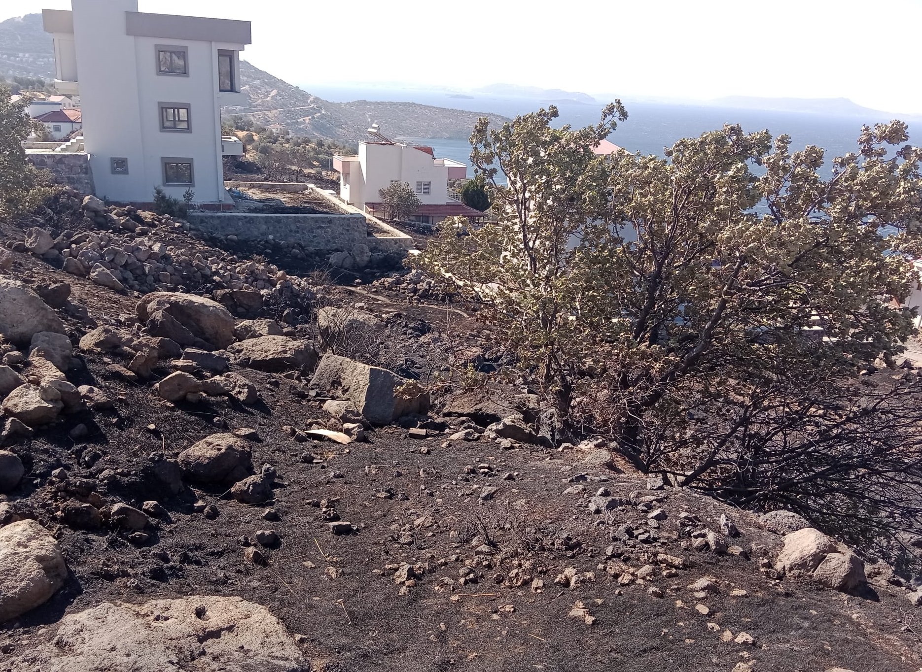 Denizli Haber Izmir Dikilide Sitede Cikarak Makilik Alana Sicrayan Yangina Mudahale Ediliyor (4)