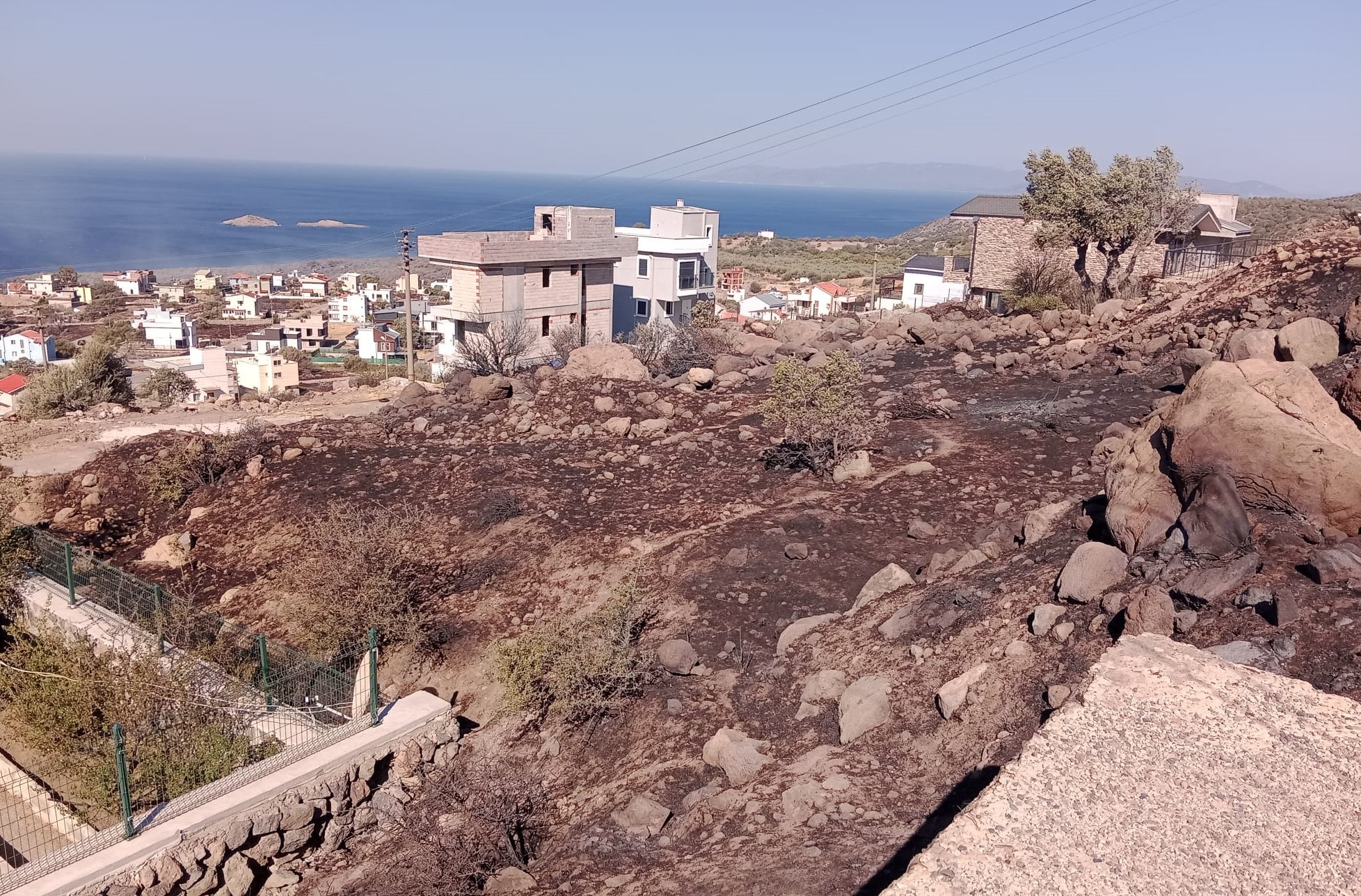 Denizli Haber Izmir Dikilide Sitede Cikarak Makilik Alana Sicrayan Yangina Mudahale Ediliyor (5)