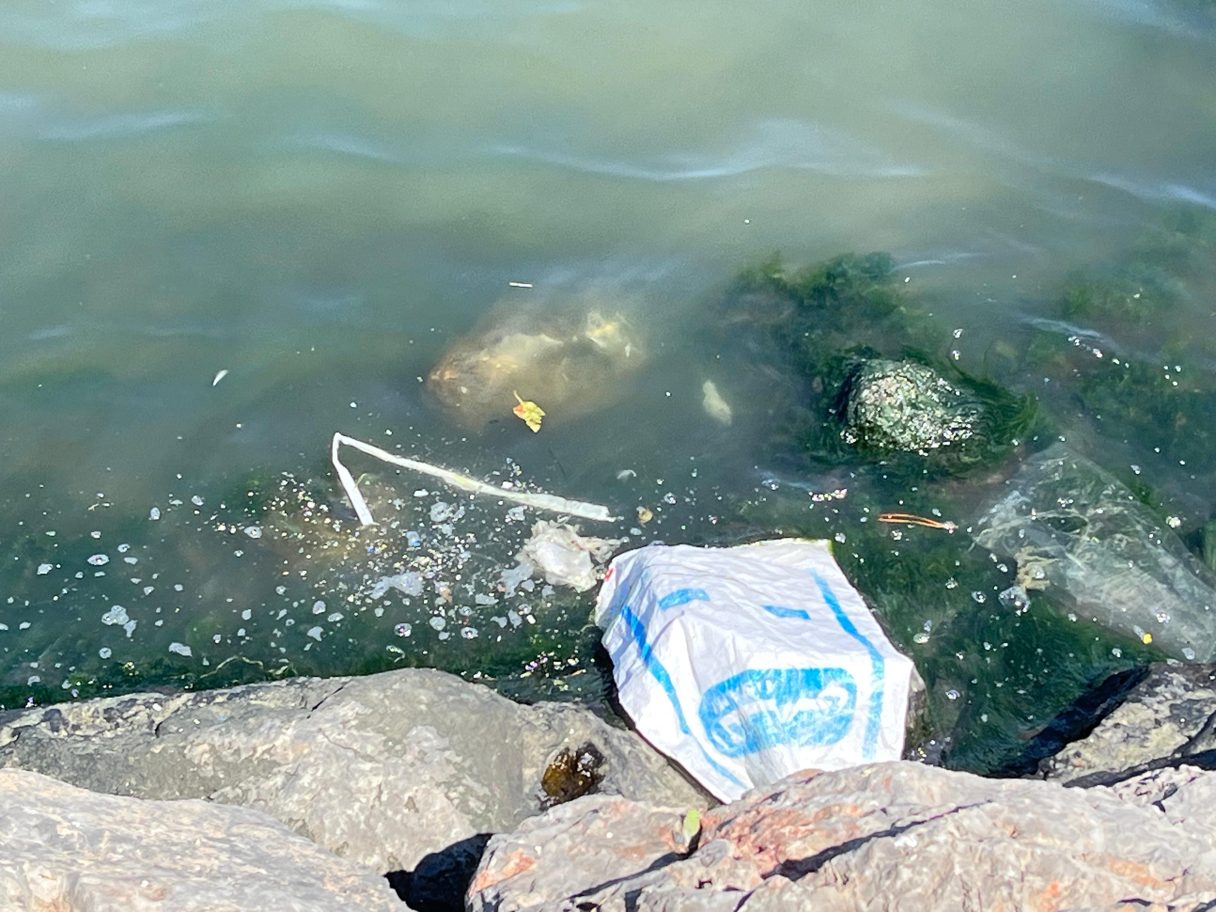 Denizli Haber Izmir Körfez (4)