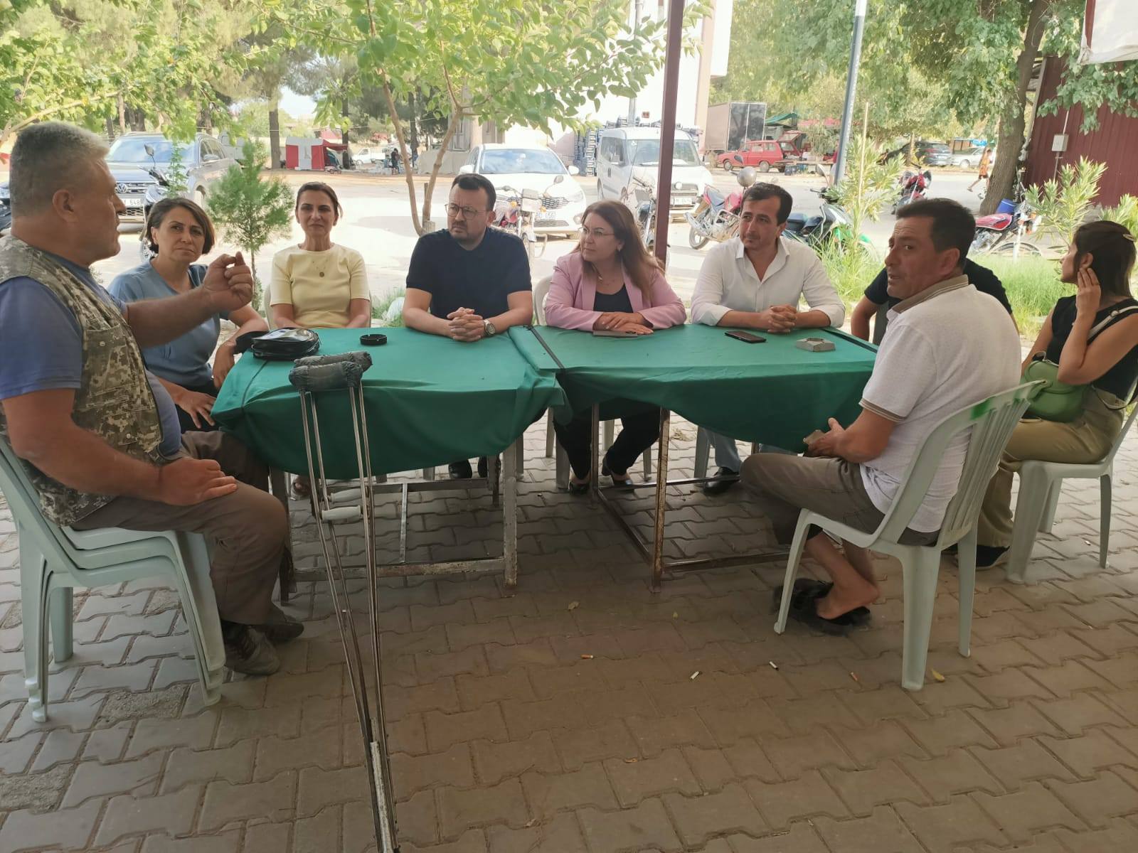 Denizli Haber Karaca Üzüm (3)