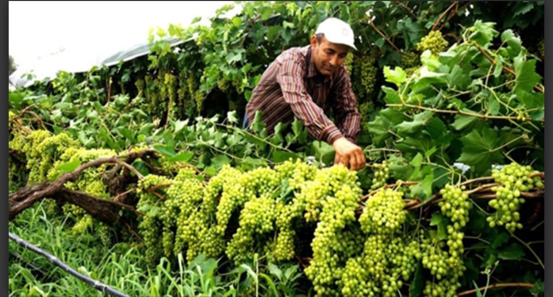 Denizli Haber Kaya Köşe 25 Ağustos (14)