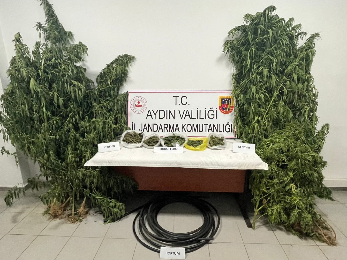 Denizli Haber Kenevir-12