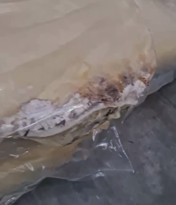 Denizli Haber Kontrol Gıda