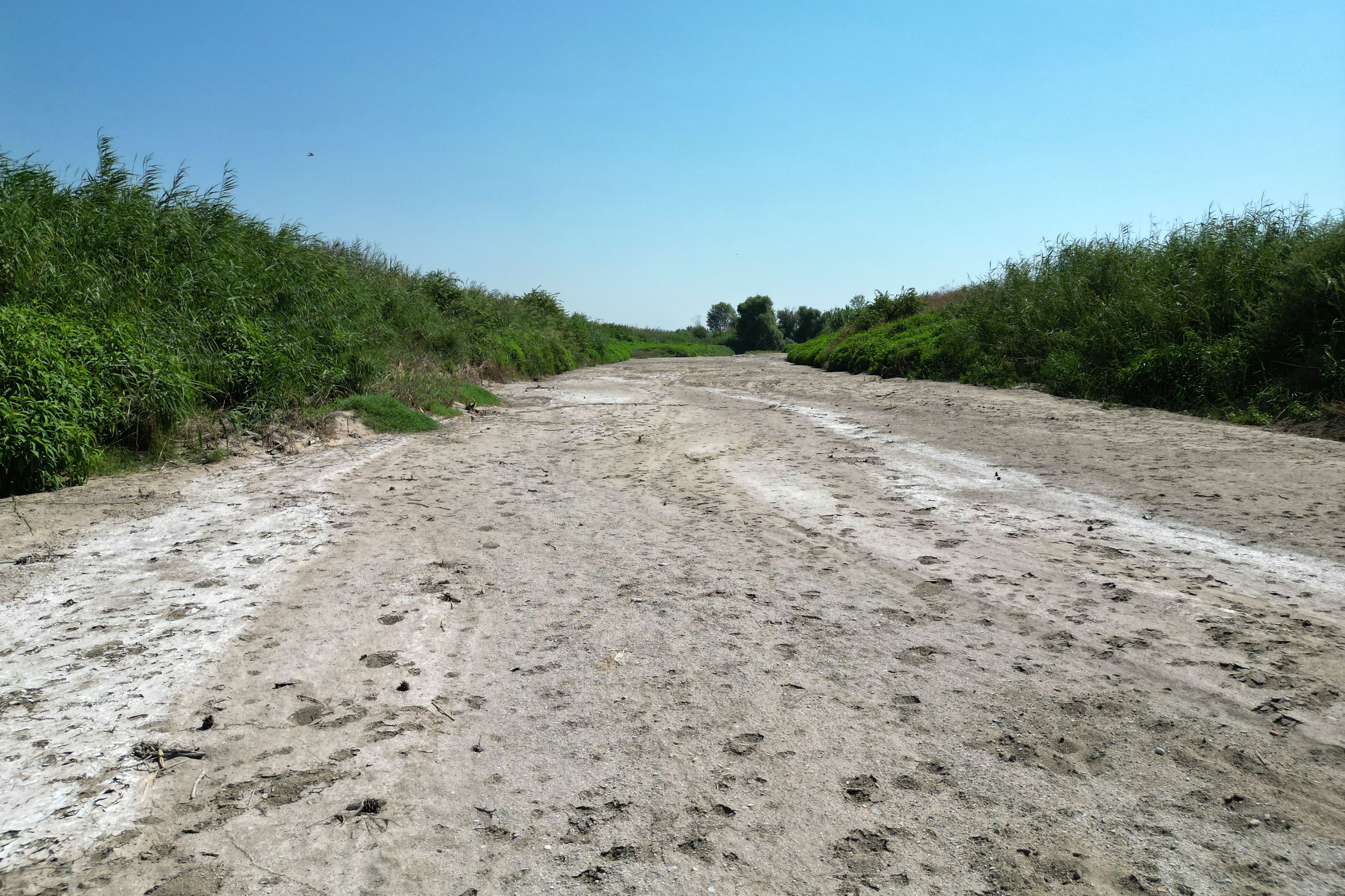 Denizli Haber Kurakligin Etkisiyle Gediz Nehrinin Bazi Bolumleri Kurudu (4)