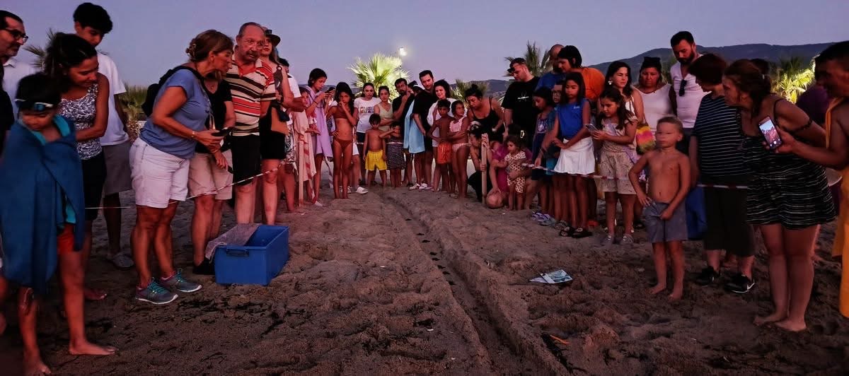 Denizli Haber Kusadasinda 48 Yavru Kaplumbaga Denize Kavustu (1)