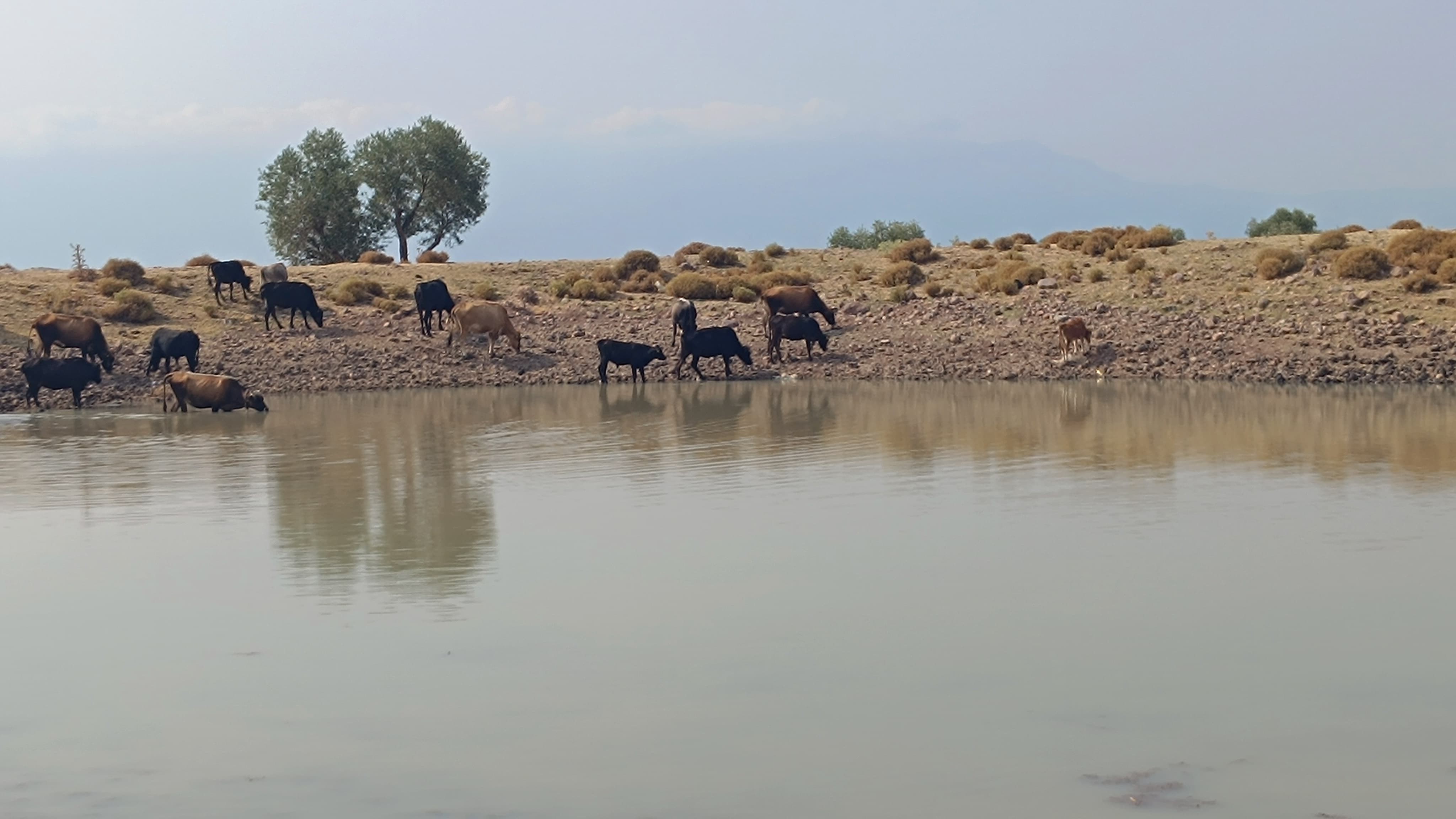 Denizli Haber Kuyu (2)-1