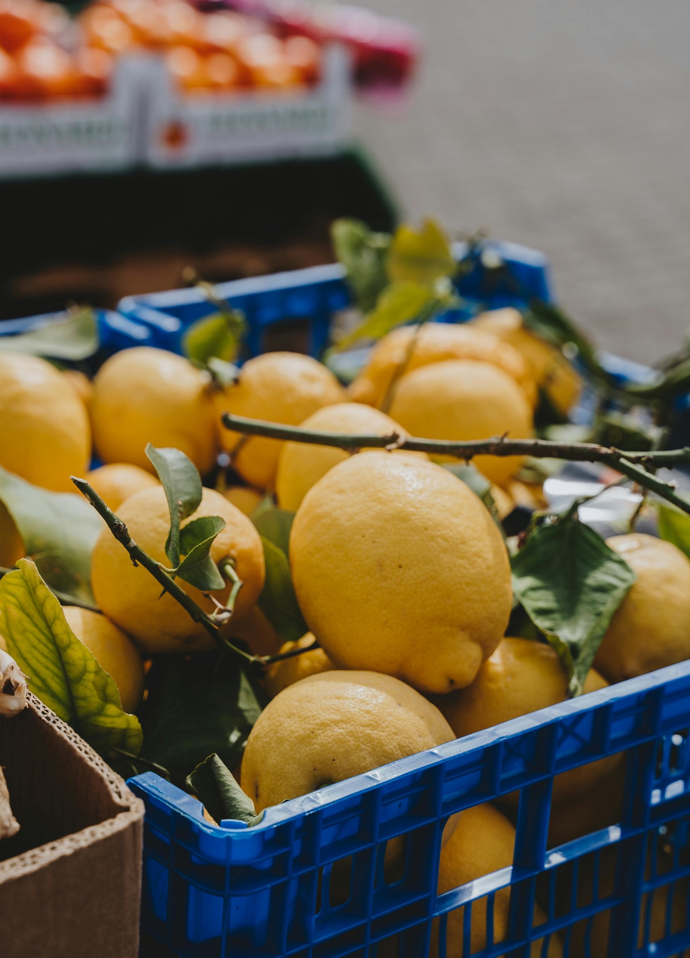 Denizli Haber Limon-5