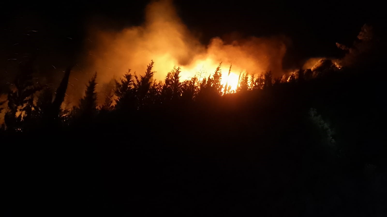 Denizli Haber M Urla Yangını