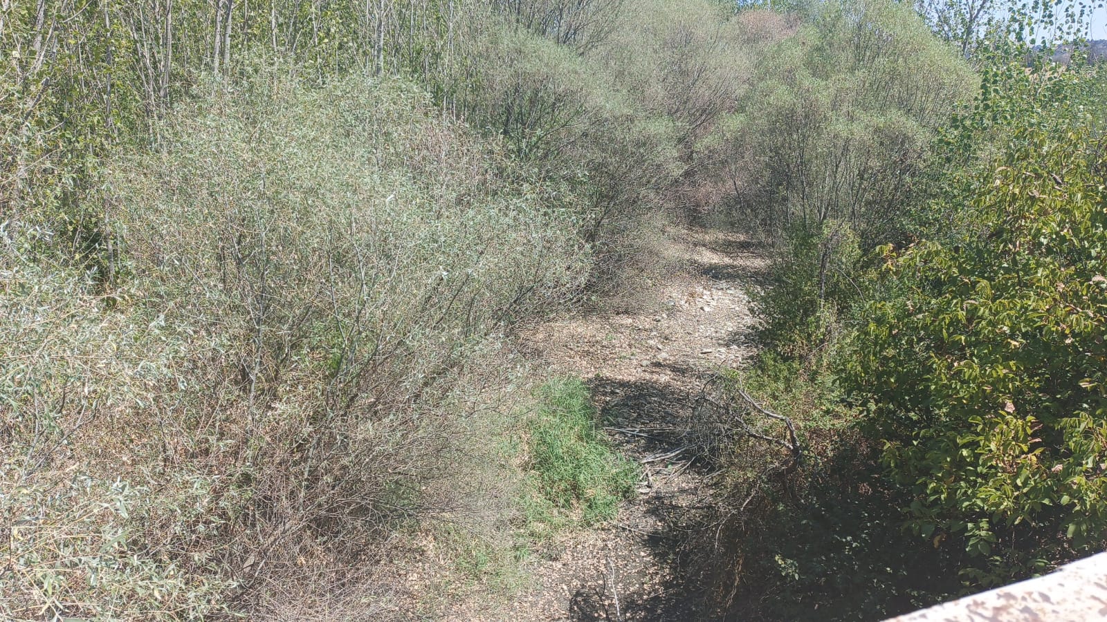 Denizli Haber Mendere Çal (1)