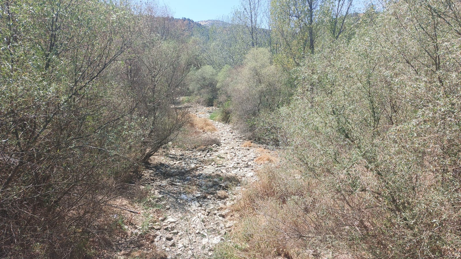 Denizli Haber Mendere Çal (2)