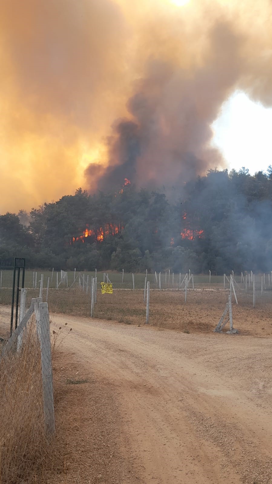Denizli Haber Menderes Yangın (1)