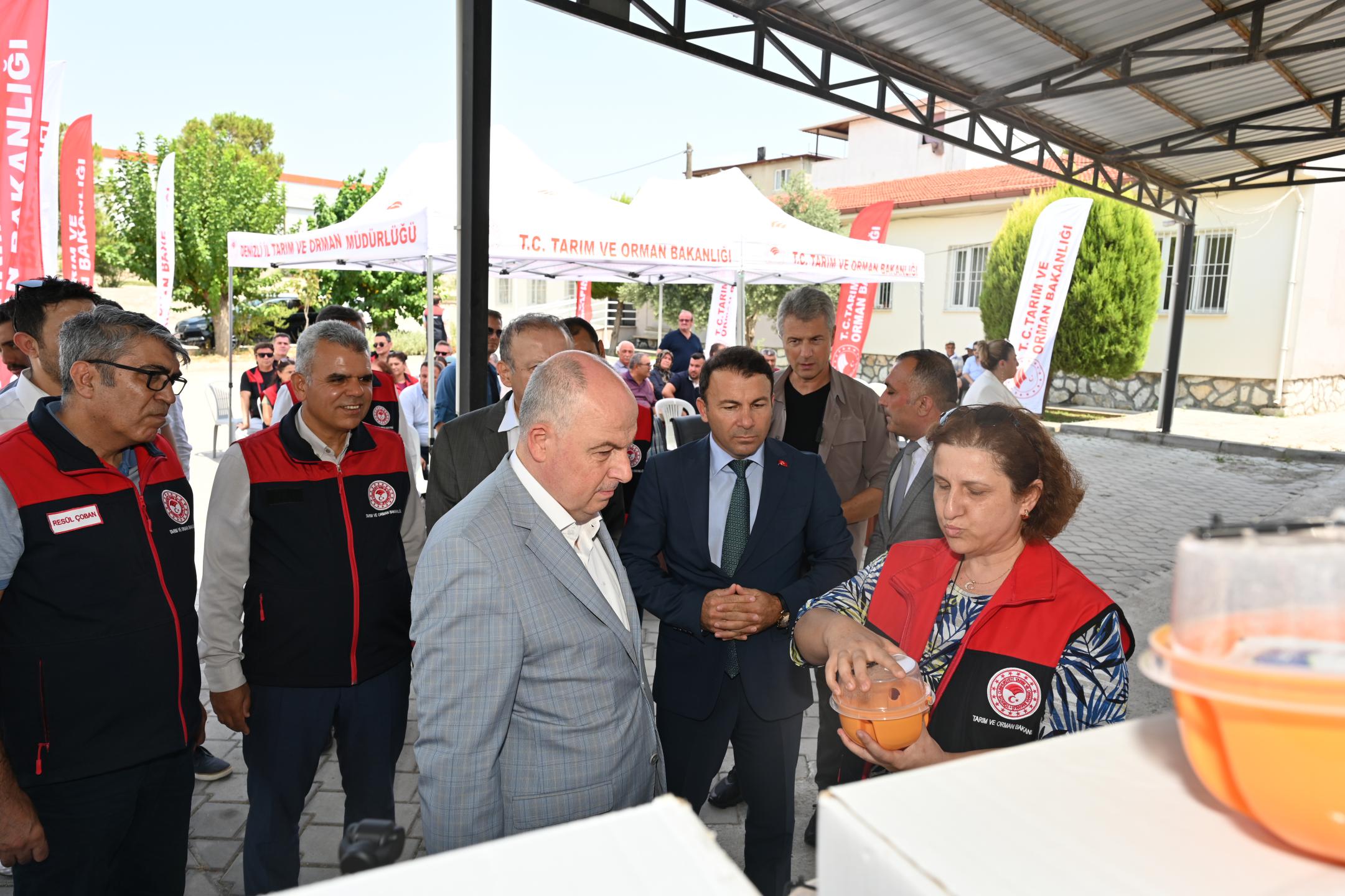 Denizli Haber Meyve Sineği (9)