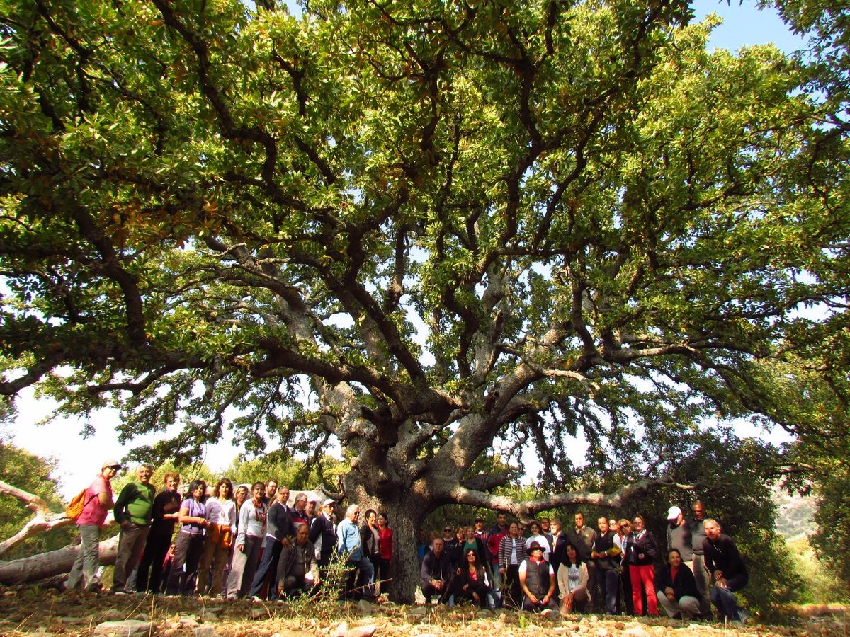 Denizli Haber Milli Park (3)