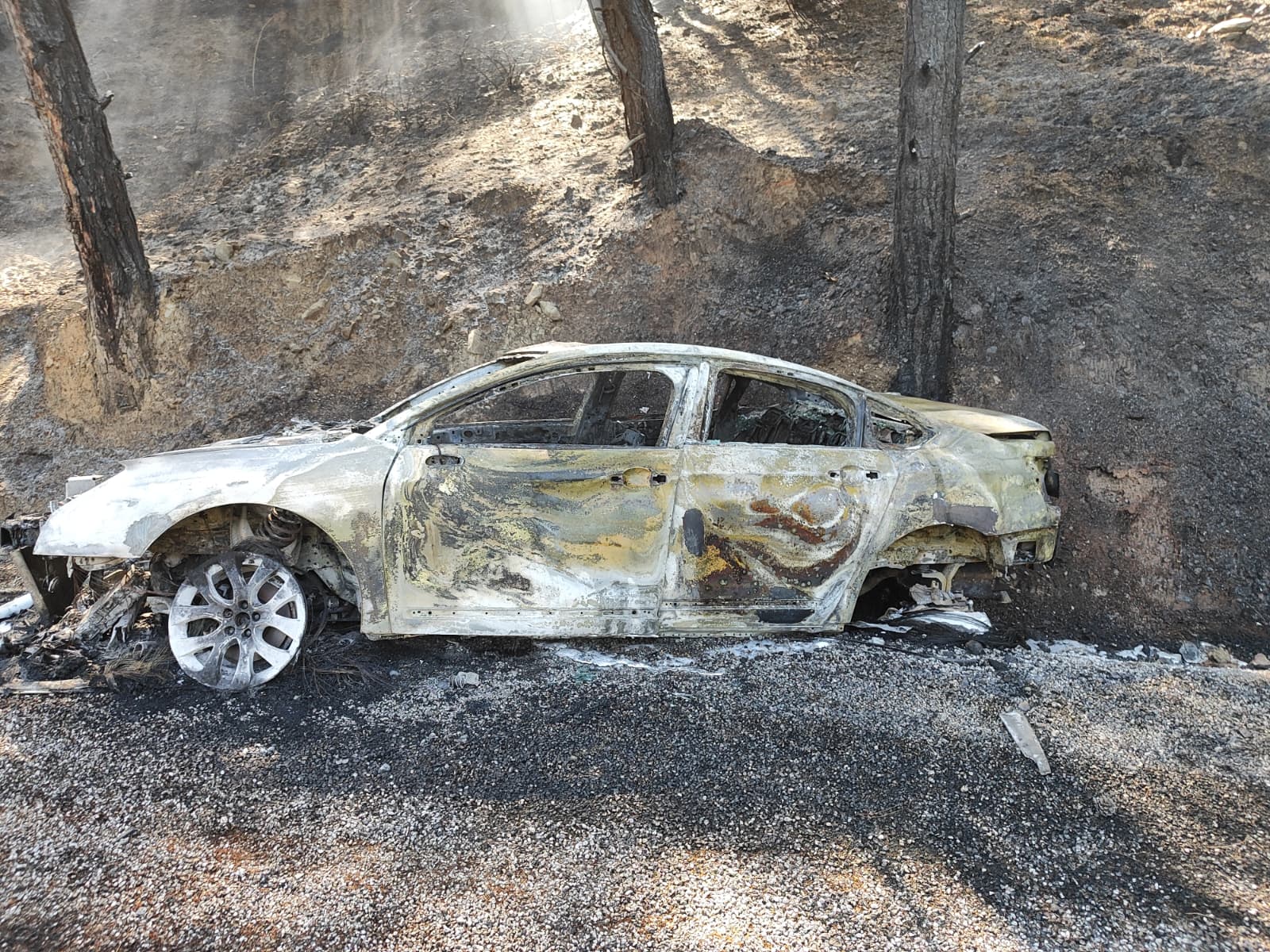 Denizli Haber Muglada Otomobilde Cikan Ve Ormana Sicrayan Yangin Sonduruldu (1)