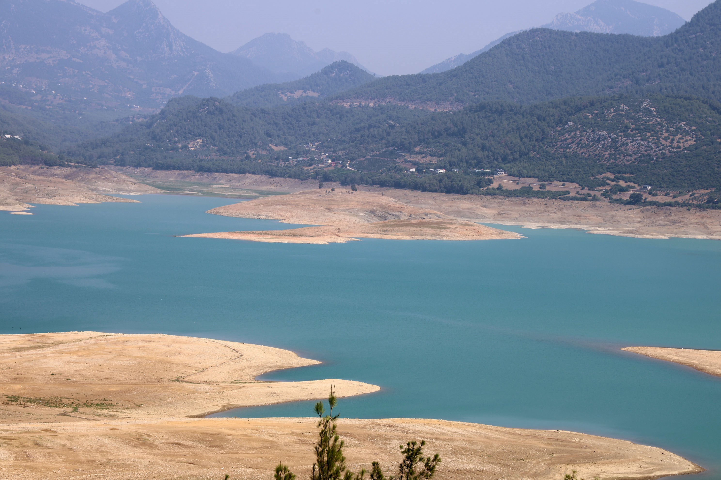 Denizli Haber Narenciye (1)