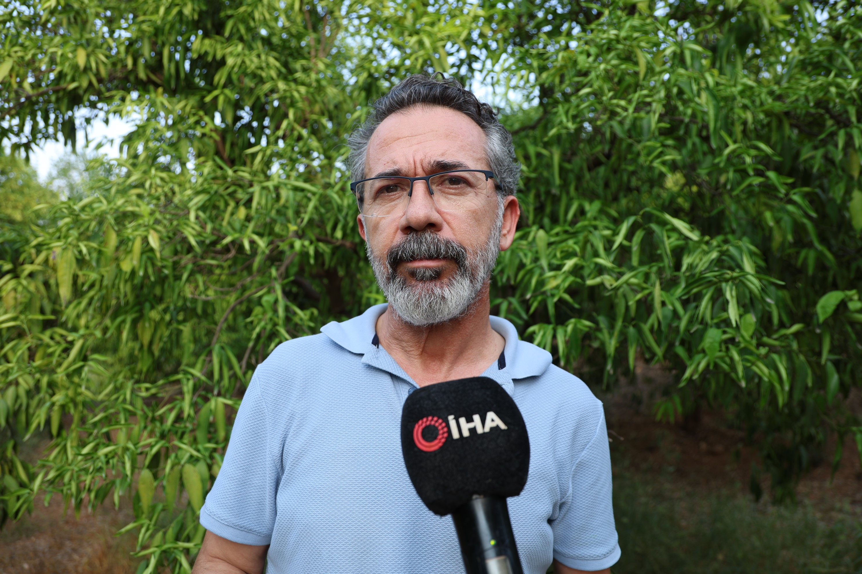 Denizli Haber Narenciye (2)