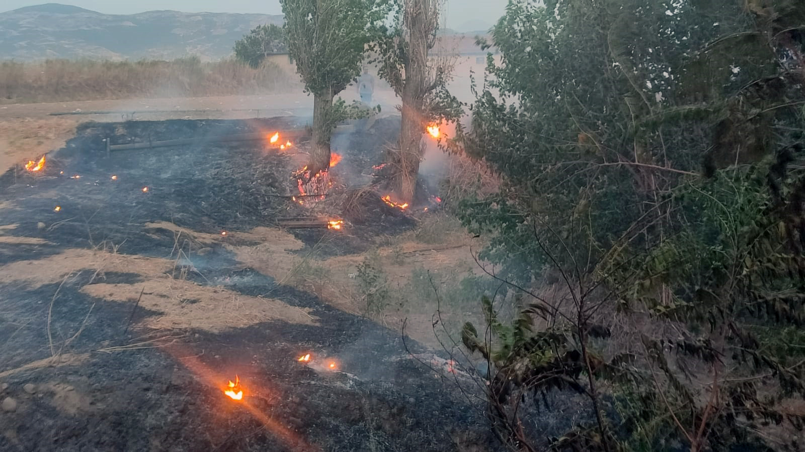 Denizli Haber Odemiste Otluk Alanda Cikan Yangin Sonduruldu (3)
