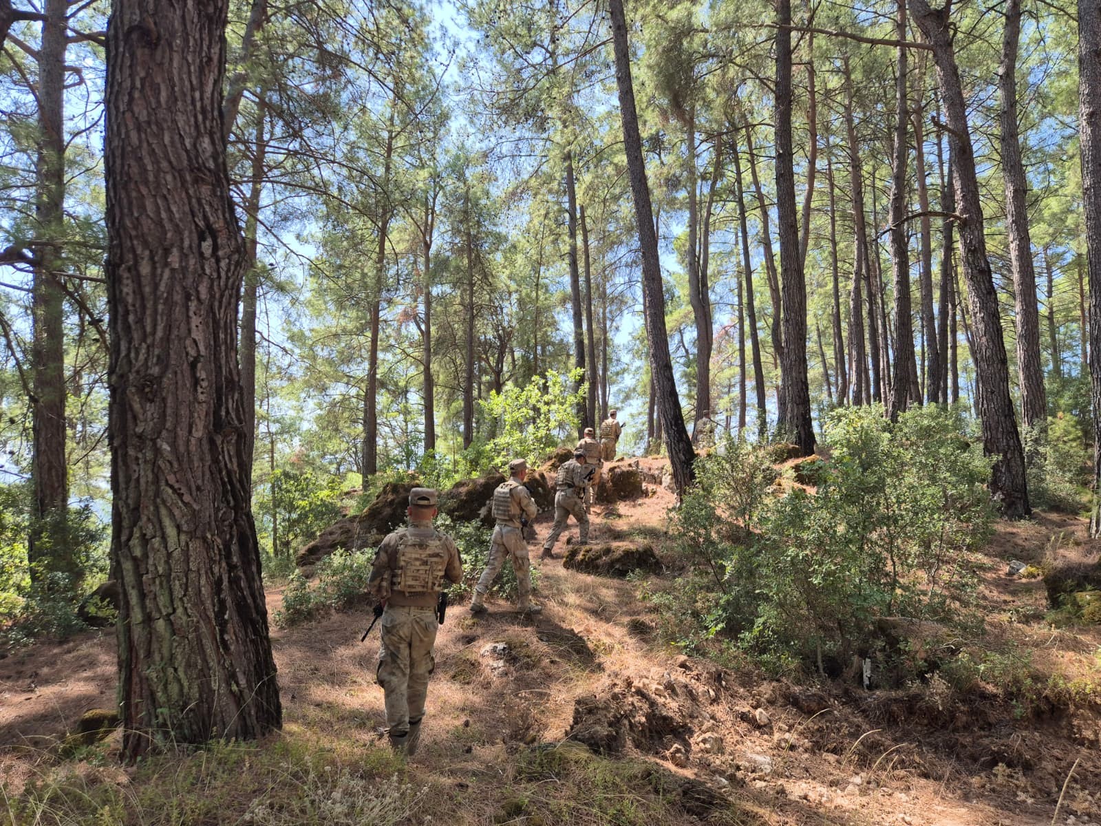 Denizli Haber Orman (2)